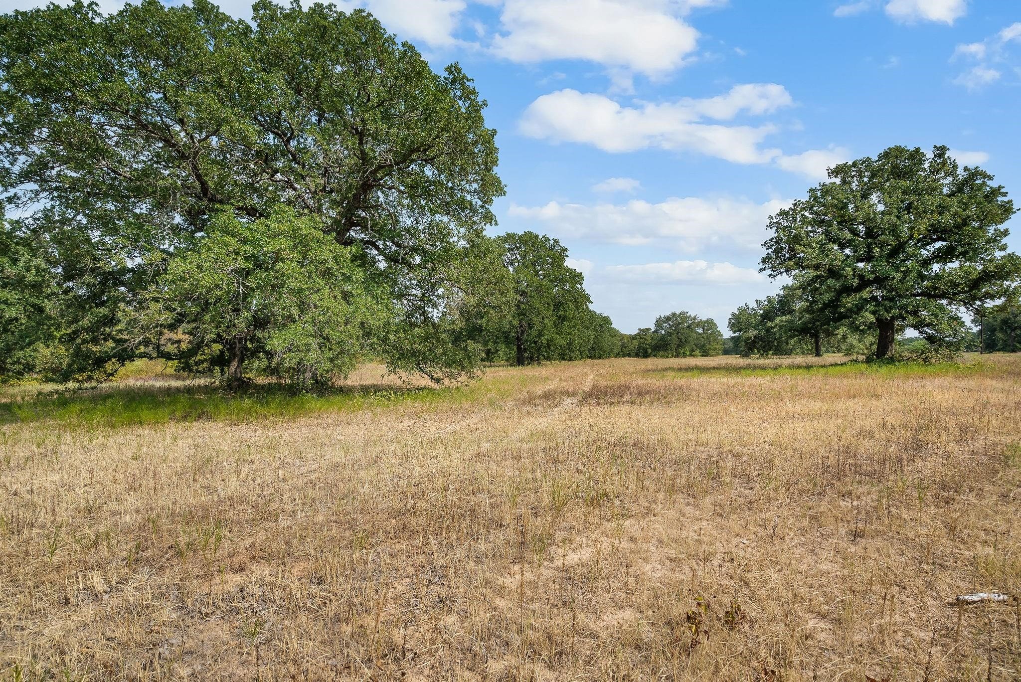 Lot 15 S Double B Ranch Road, Perrin, TX, 76486