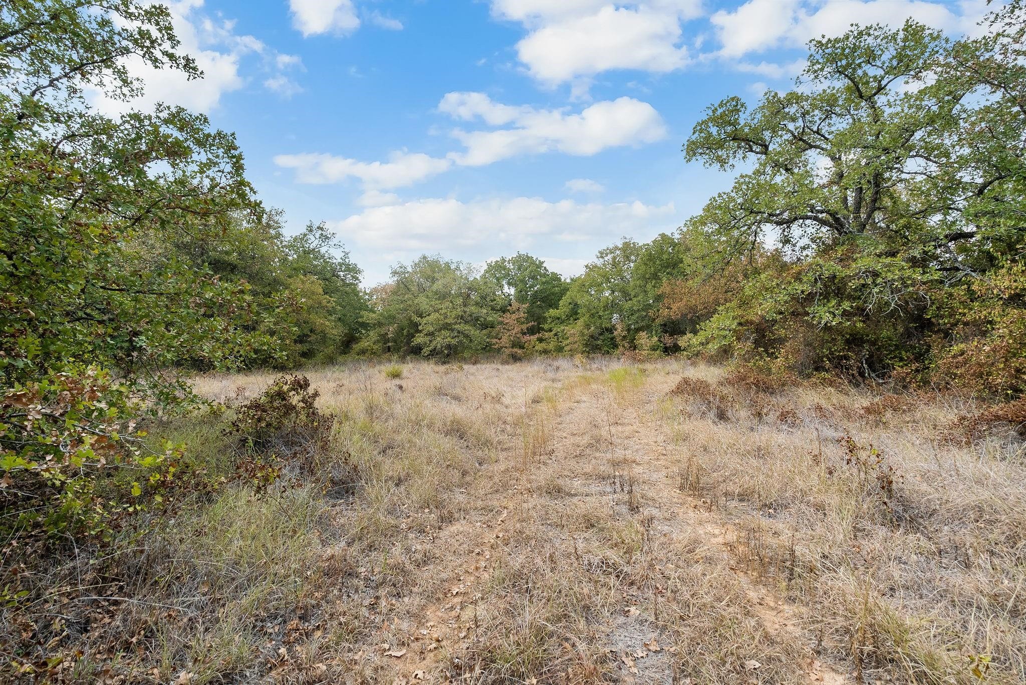 Lot 15 S Double B Ranch Road, Perrin, TX, 76486