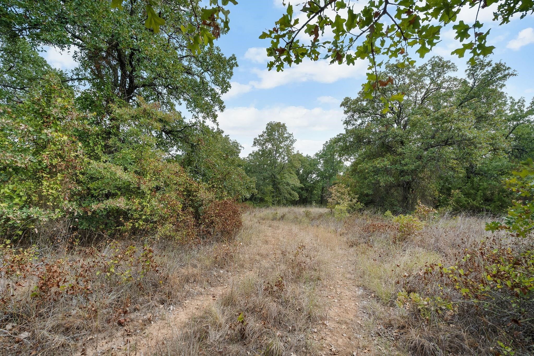 Lot 15 S Double B Ranch Road, Perrin, TX, 76486