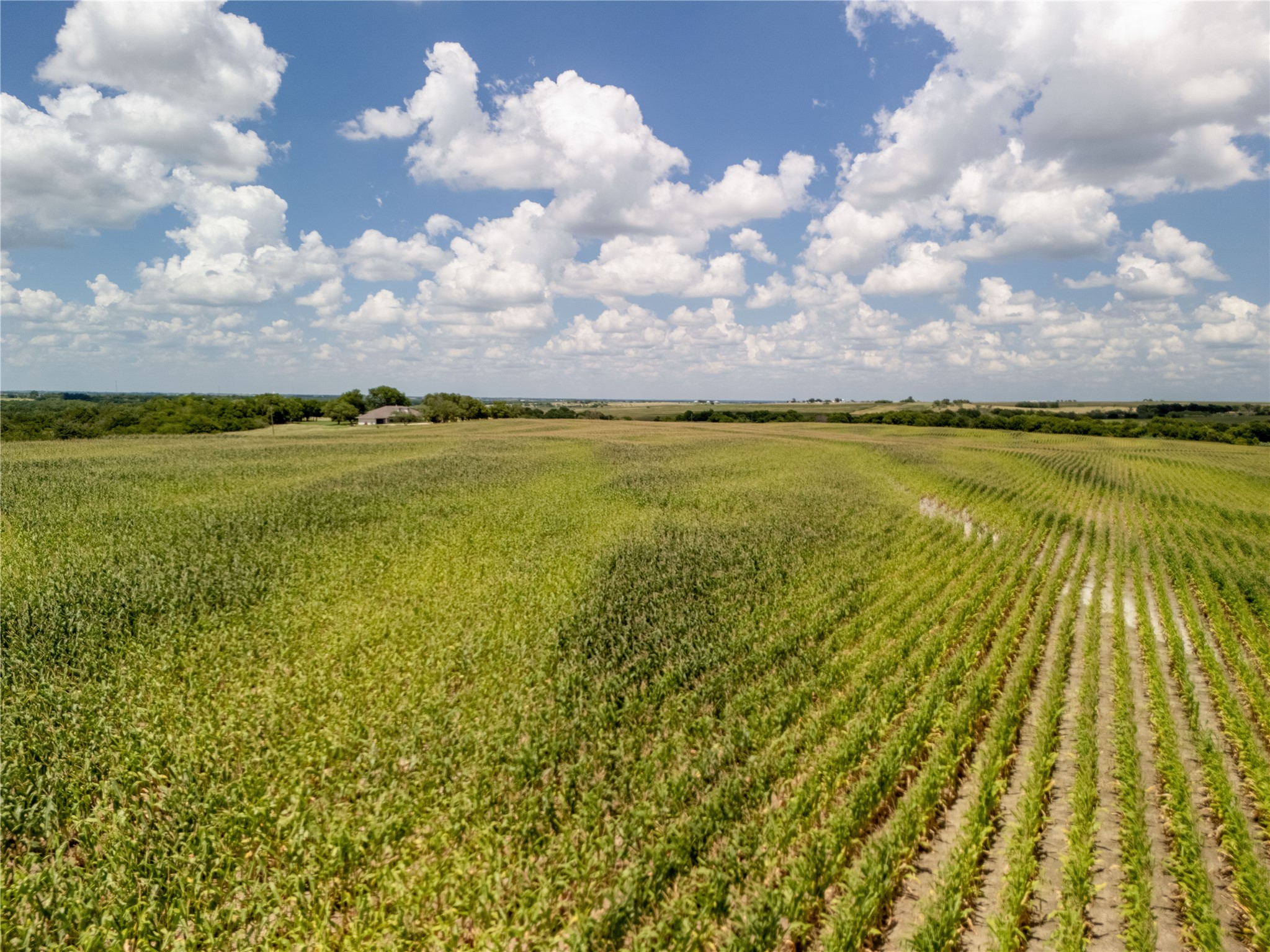 12.54 Acres | Tract 4 County Rd 3307, Hubbard, TX, 76648