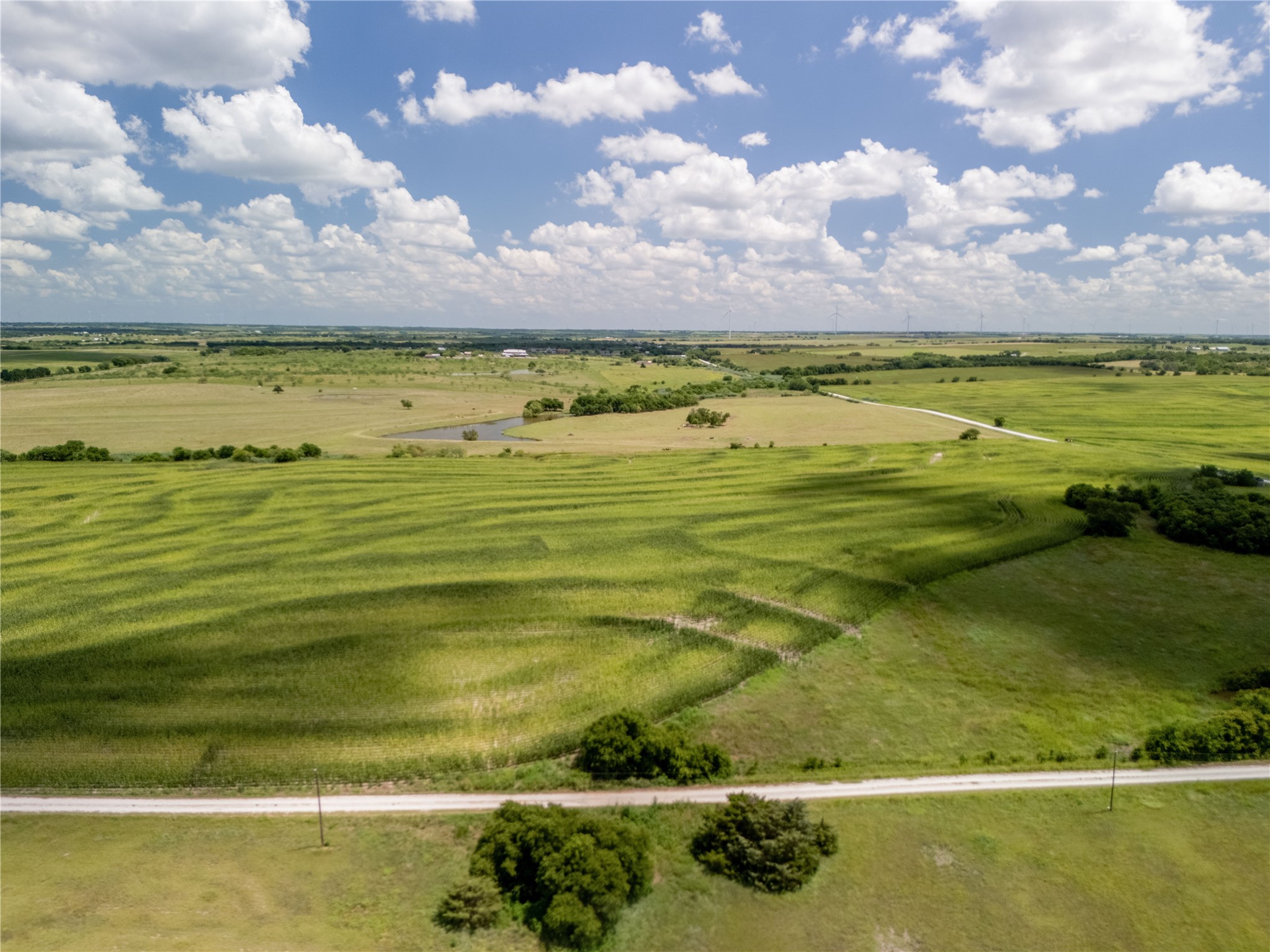 12.54 Acres | Tract 4 County Rd 3307, Hubbard, TX, 76648