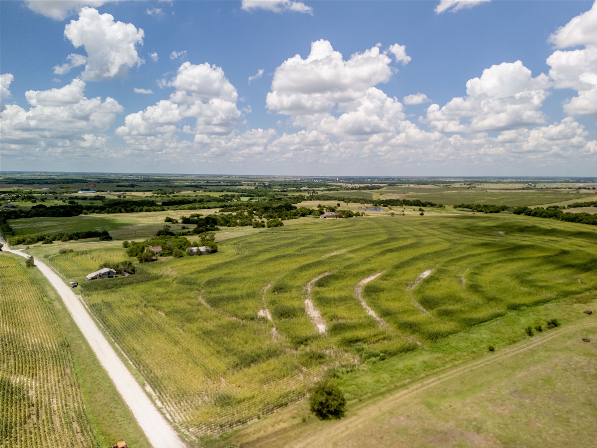 12.54 Acres | Tract 4 County Rd 3307, Hubbard, TX, 76648