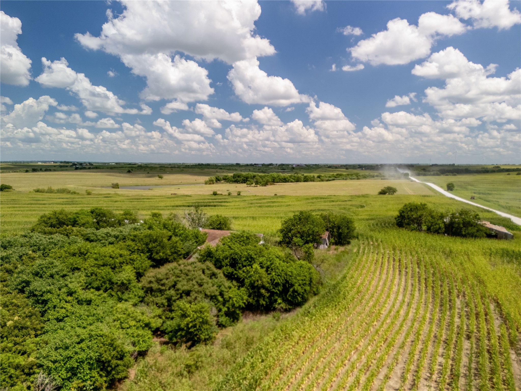 12.54 Acres | Tract 4 County Rd 3307, Hubbard, TX, 76648