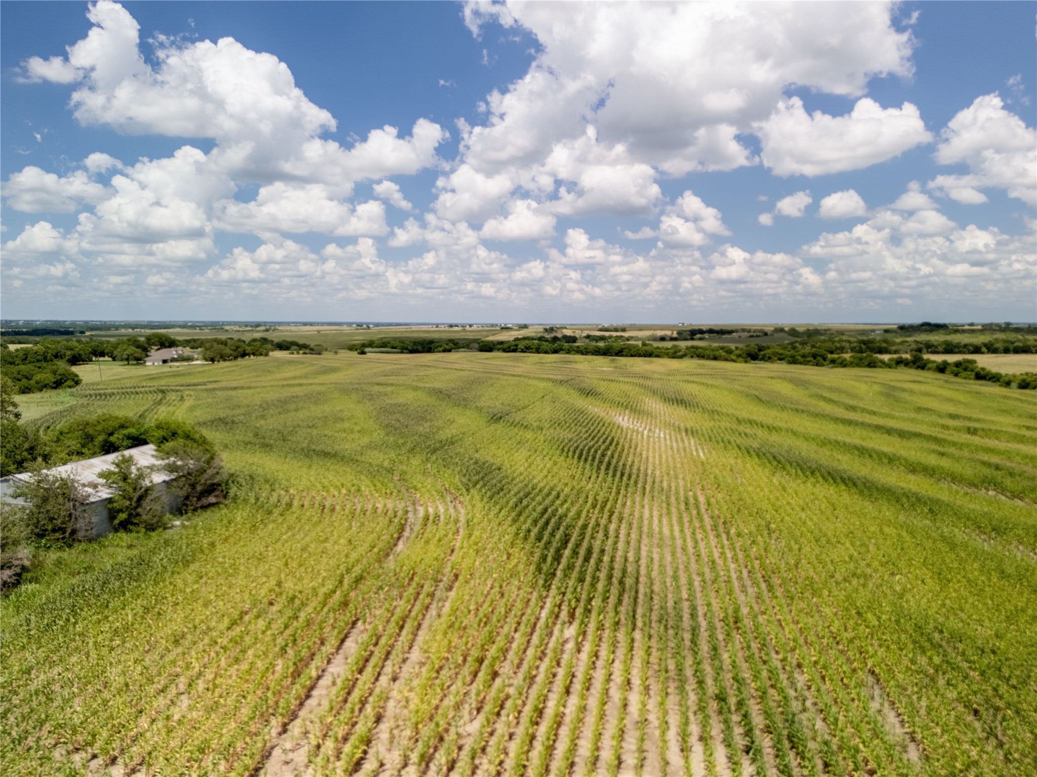 12.54 Acres | Tract 4 County Rd 3307, Hubbard, TX, 76648