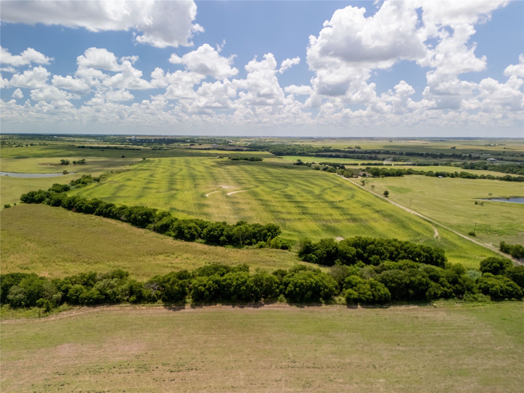12.54 Acres | Tract 4 County Rd 3307, Hubbard, TX, 76648