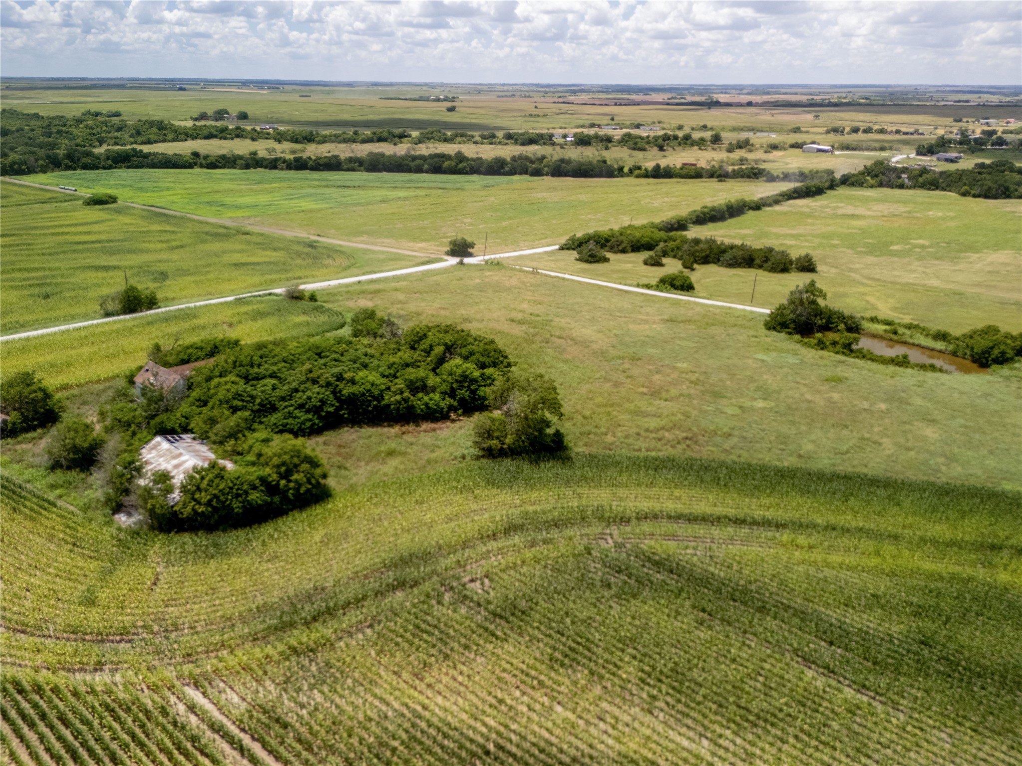12.54 Acres | Tract 4 County Rd 3307, Hubbard, TX, 76648