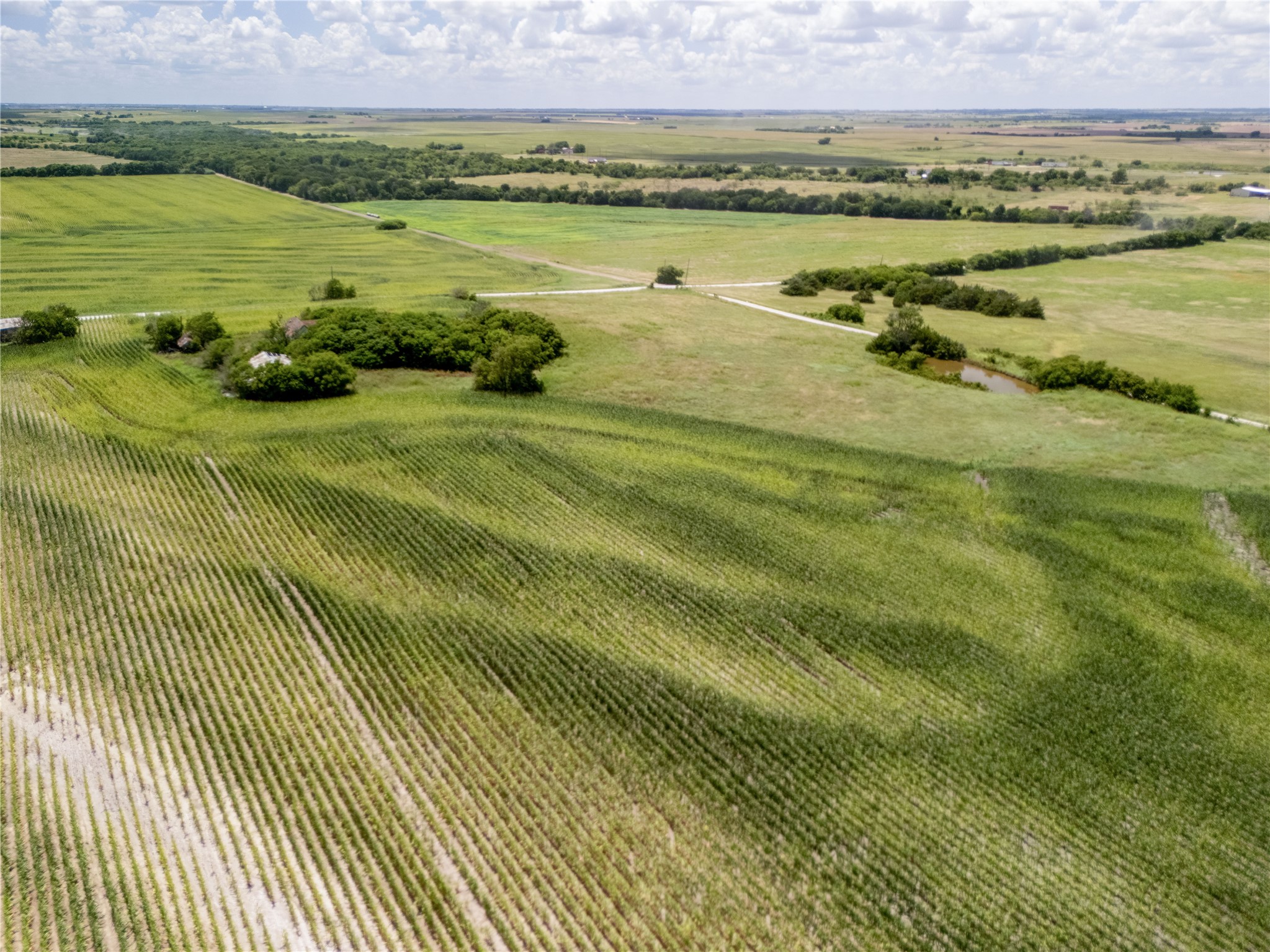 12.54 Acres | Tract 4 County Rd 3307, Hubbard, TX, 76648
