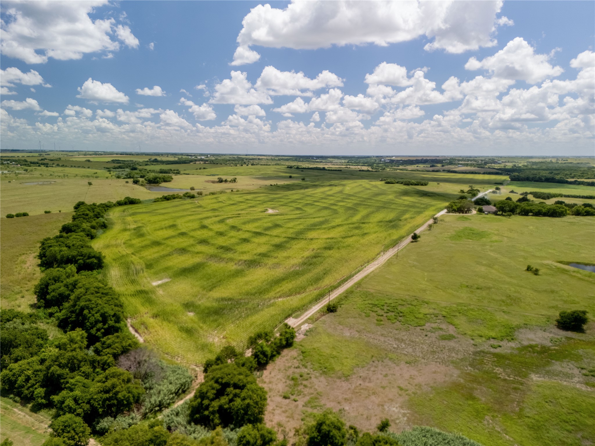 12.54 Acres | Tract 4 County Rd 3307, Hubbard, TX, 76648