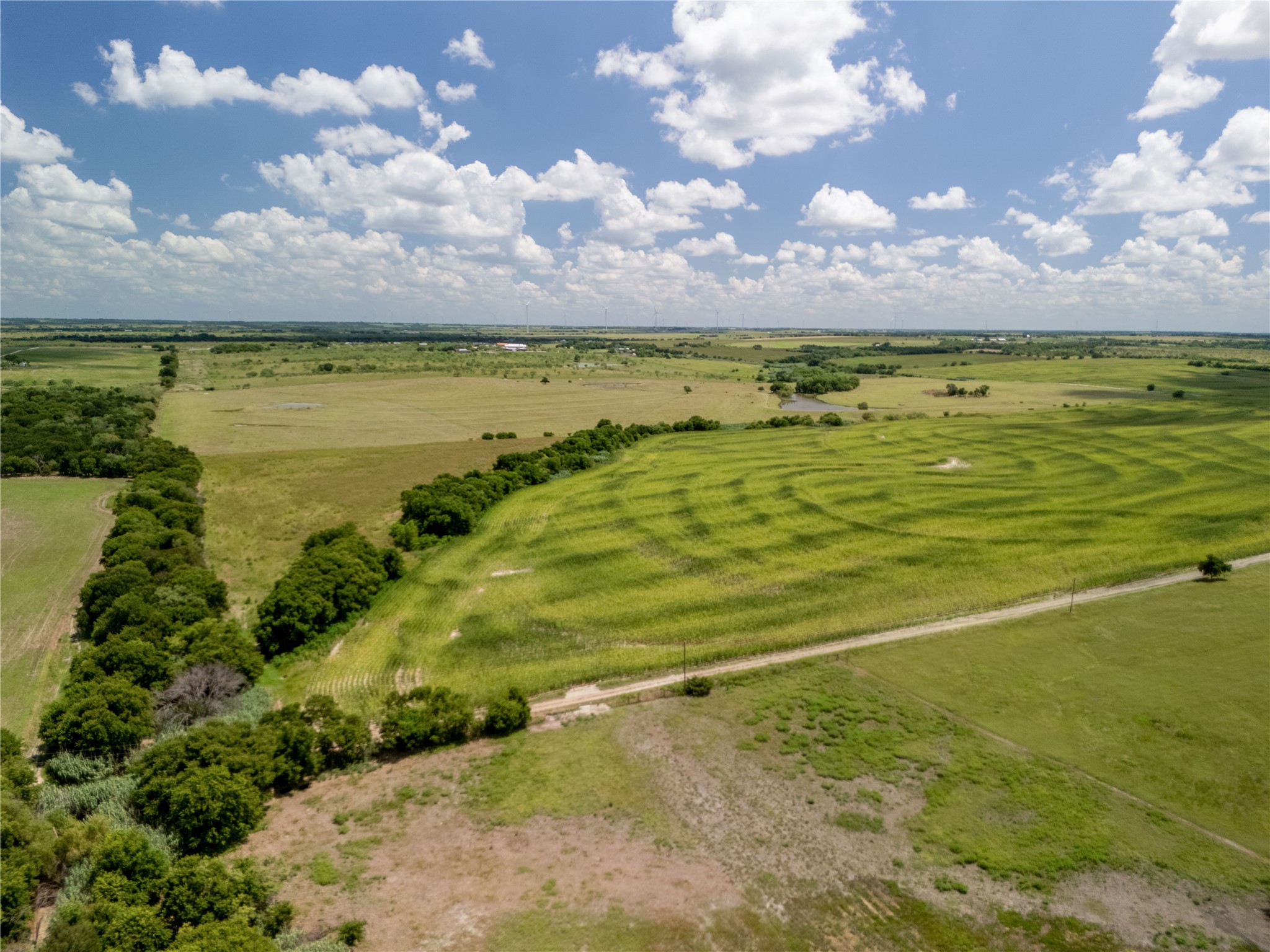 12.54 Acres | Tract 4 County Rd 3307, Hubbard, TX, 76648
