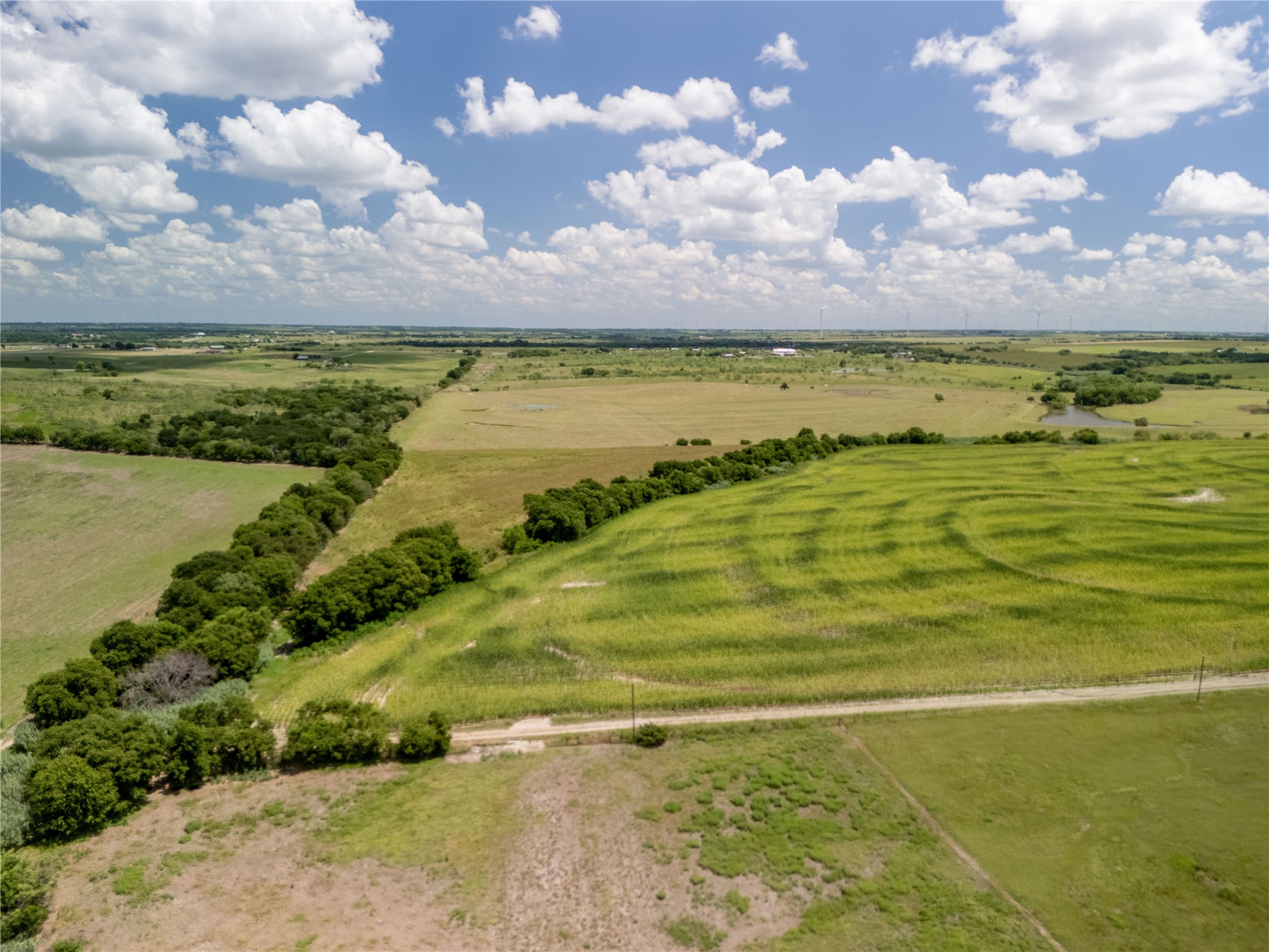 12.54 Acres | Tract 4 County Rd 3307, Hubbard, TX, 76648