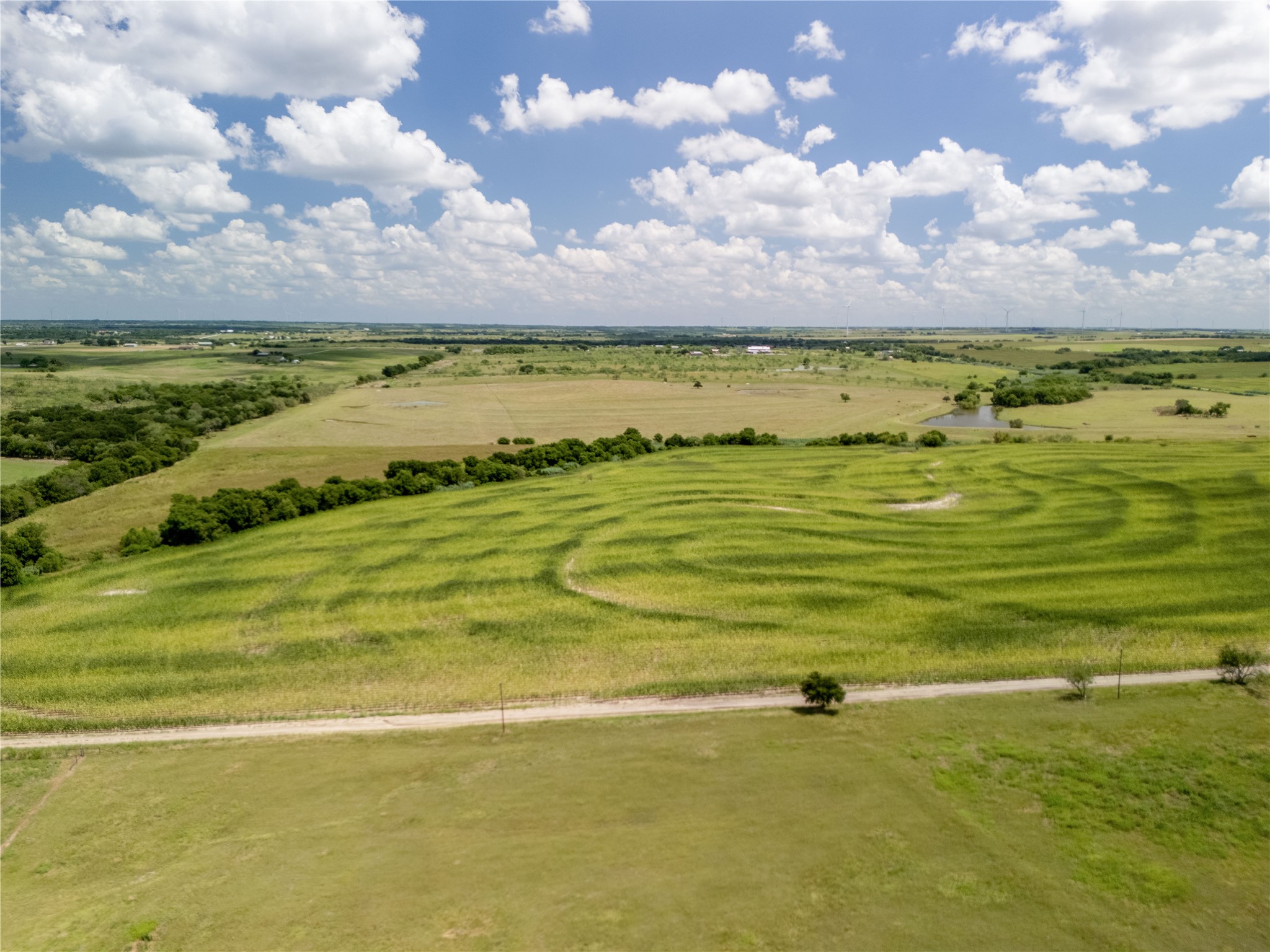 12.54 Acres | Tract 4 County Rd 3307, Hubbard, TX, 76648