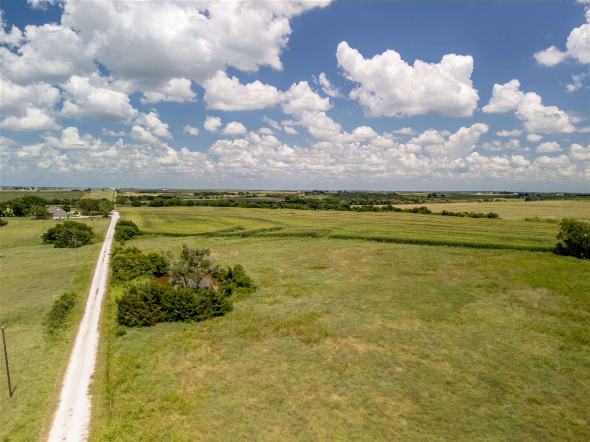 12.54 Acres | Tract 4 County Rd 3307, Hubbard, TX, 76648