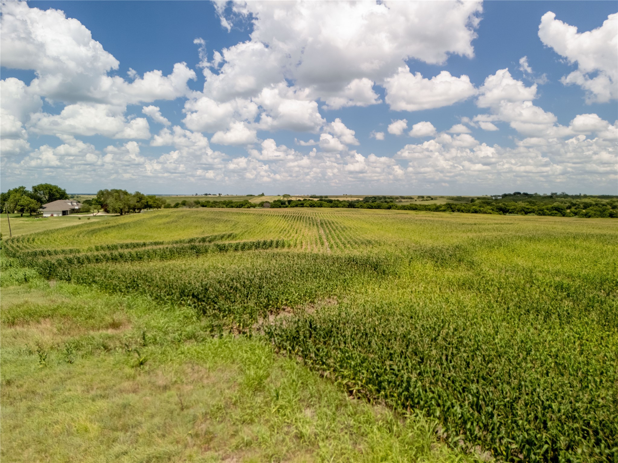 12.54 Acres | Tract 4 County Rd 3307, Hubbard, TX, 76648