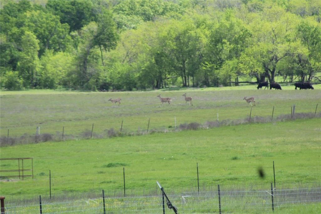 TBD CO RD 4518, Wolfe City, TX, 75496