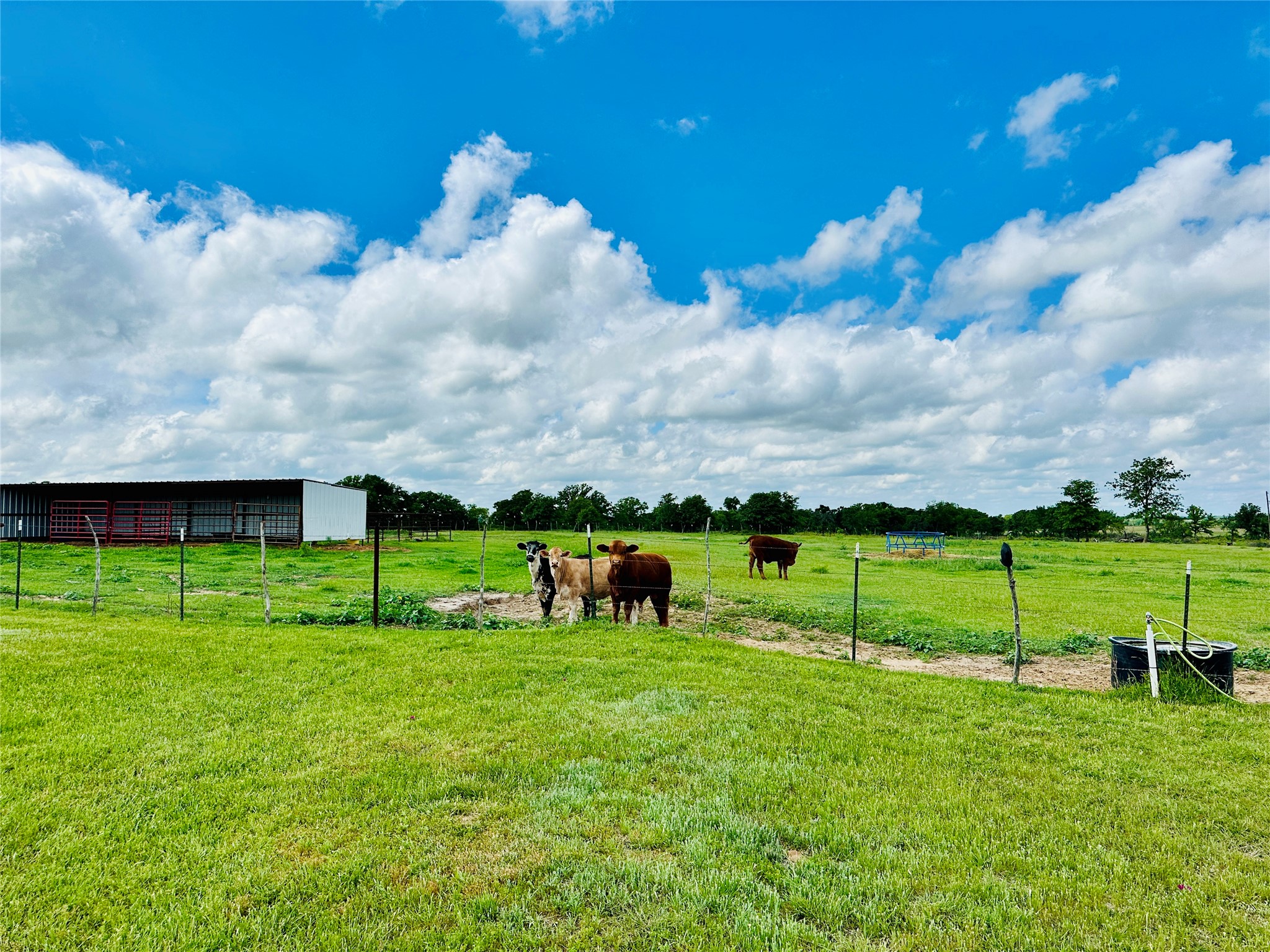 251 County Road 225, Rising Star, TX, 76471