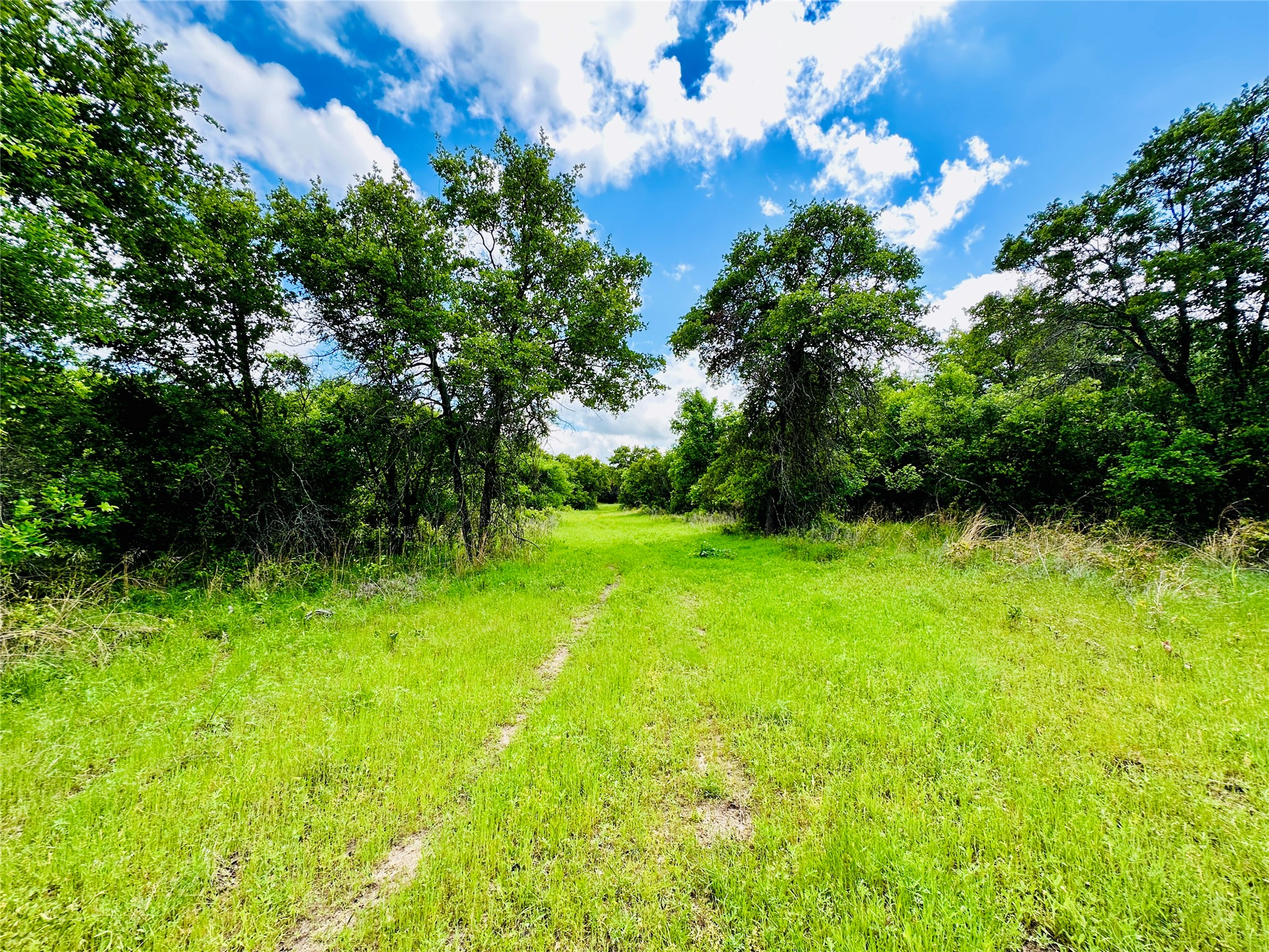 251 County Road 225, Rising Star, TX, 76471