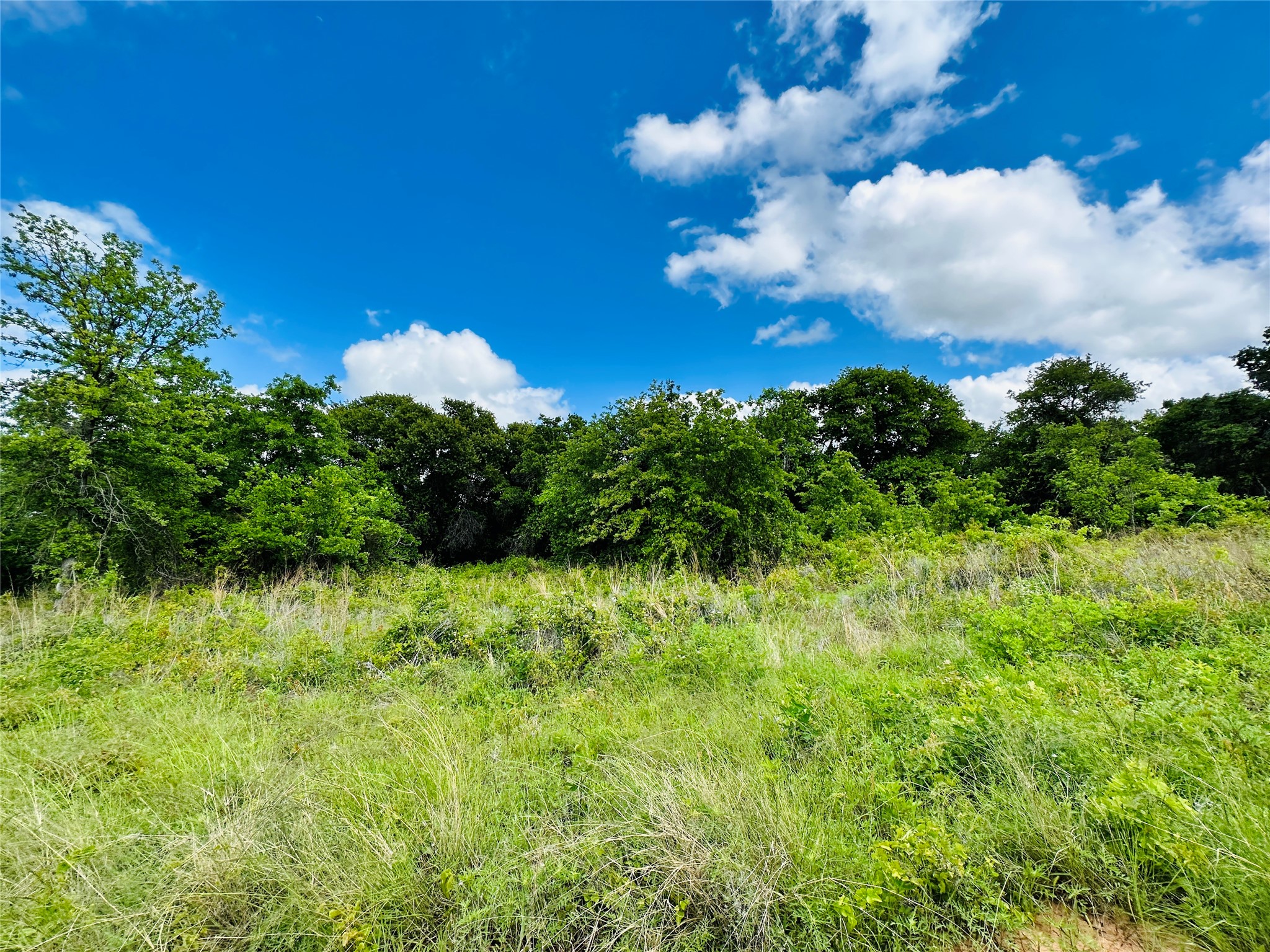 251 County Road 225, Rising Star, TX, 76471