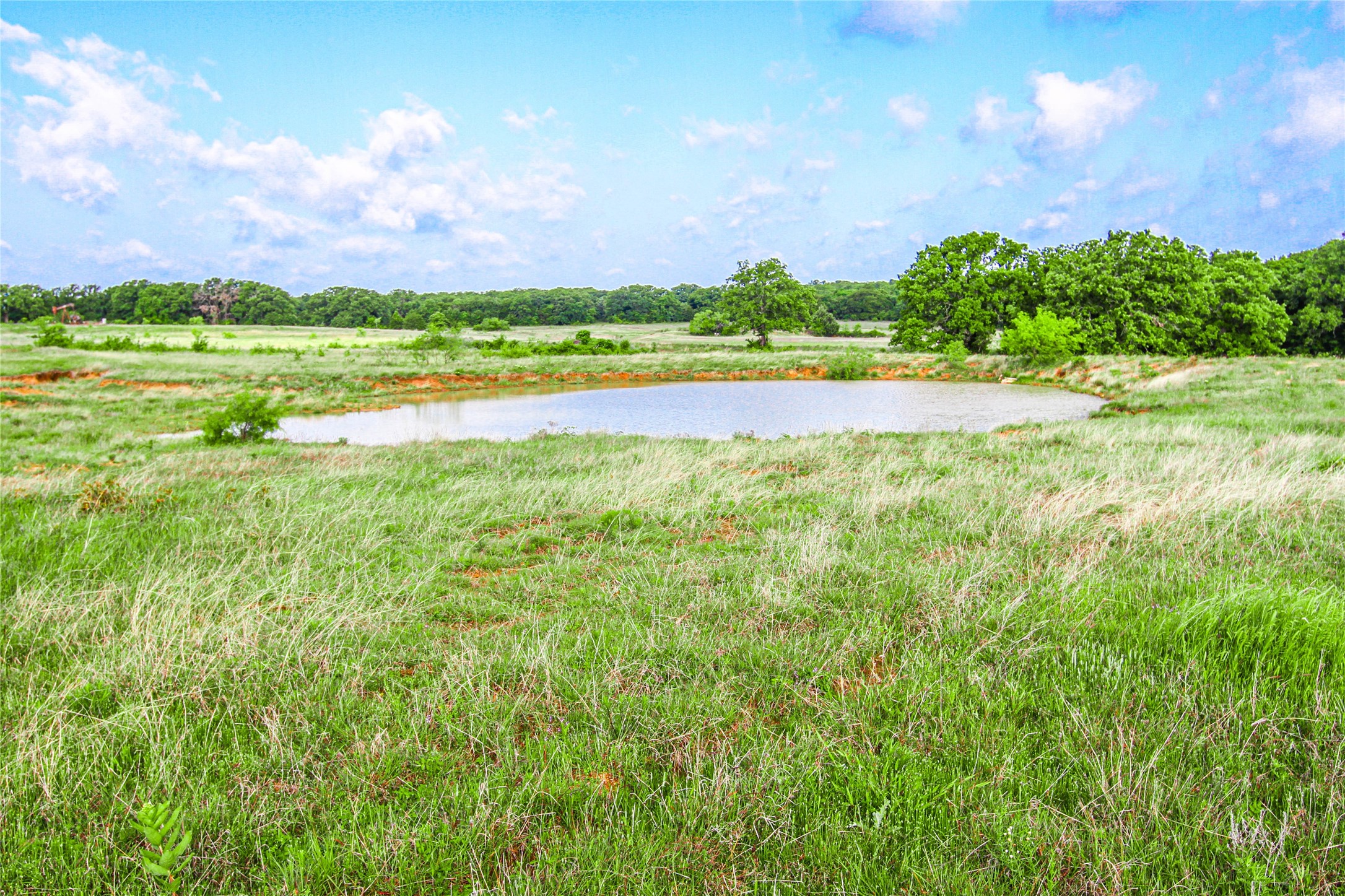 TBD County Road 1792, Sunset, TX, 76270