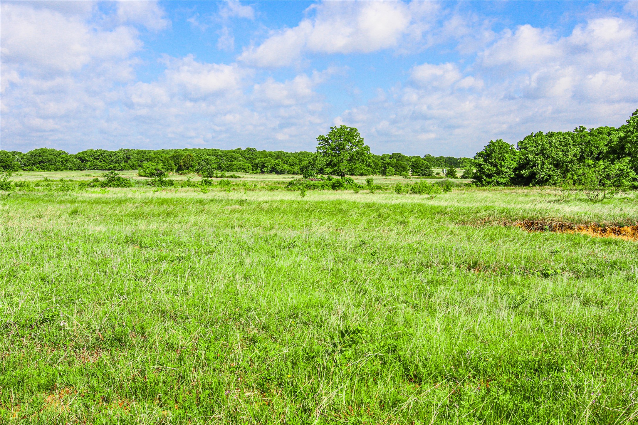 TBD County Road 1792, Sunset, TX, 76270