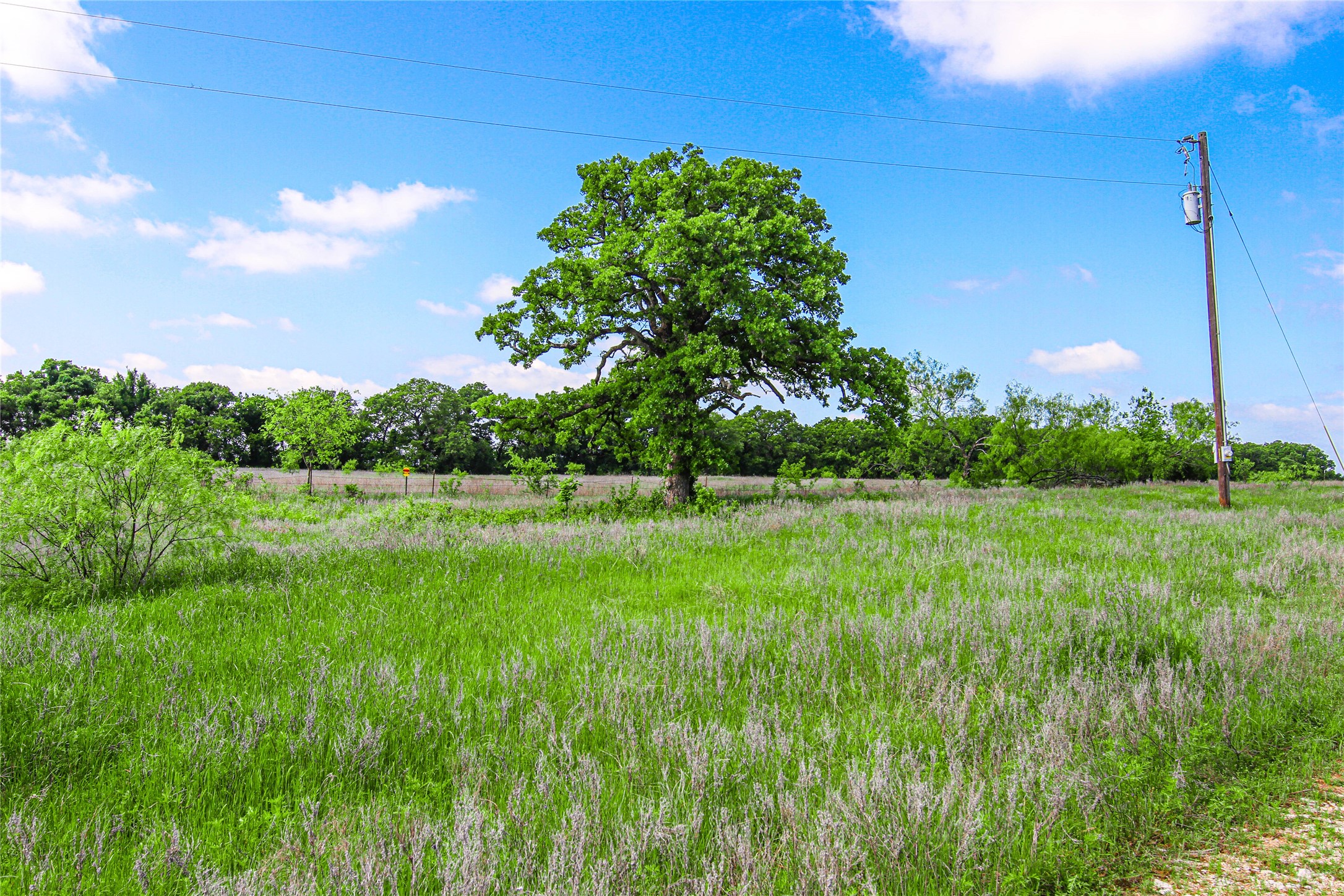 TBD County Road 1792, Sunset, TX, 76270
