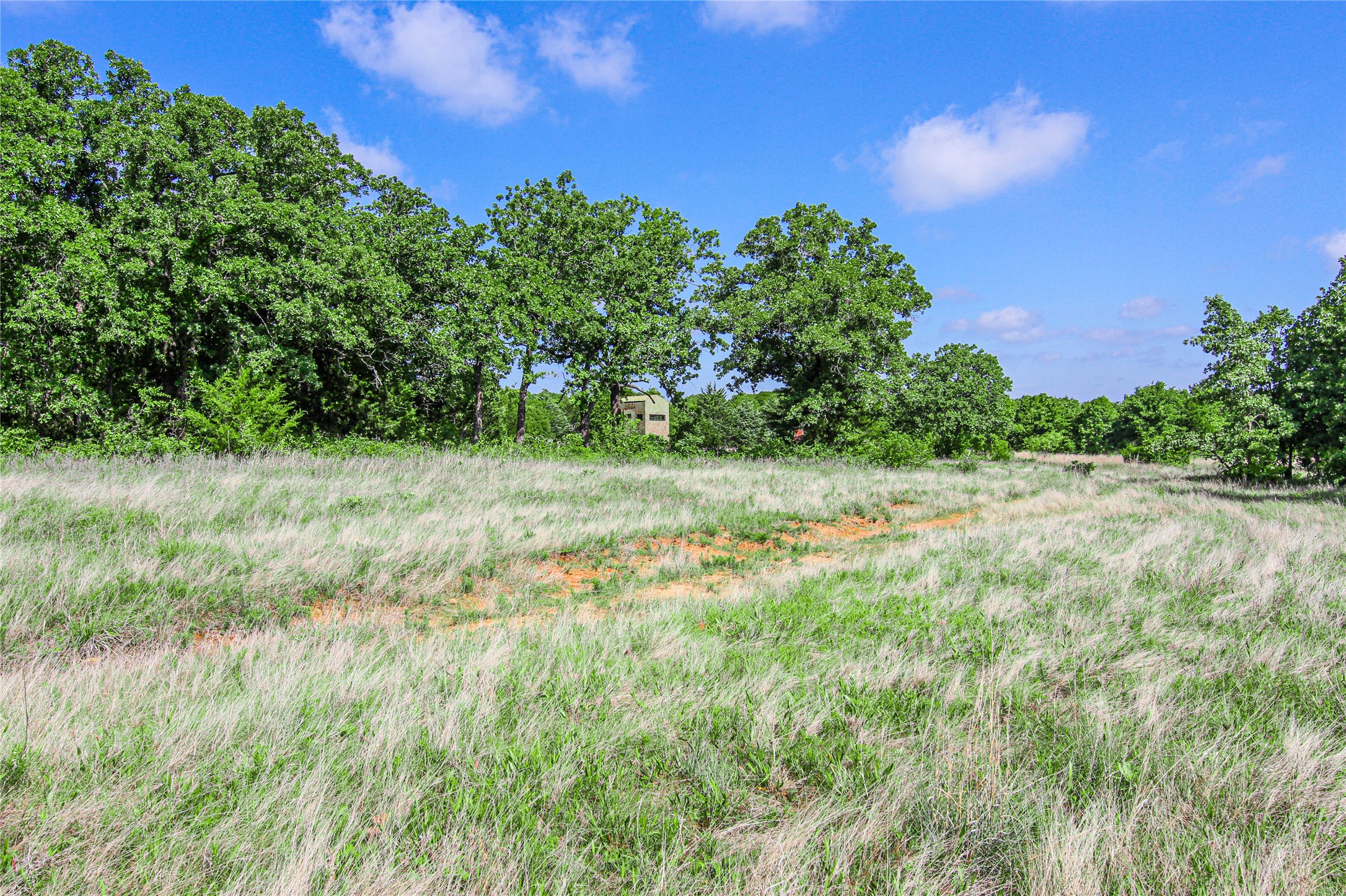 TBD County Road 1792, Sunset, TX, 76270