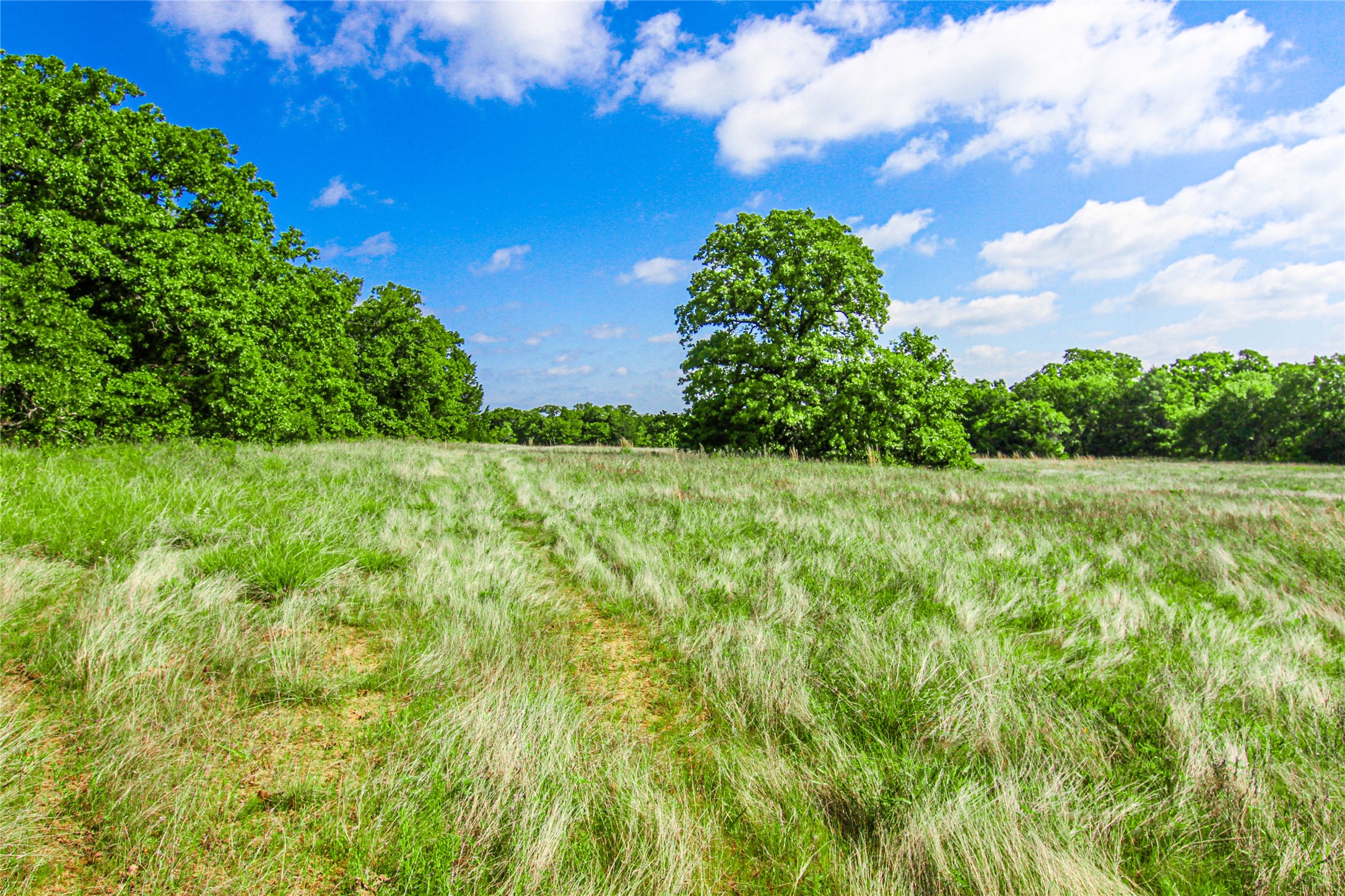 TBD County Road 1792, Sunset, TX, 76270