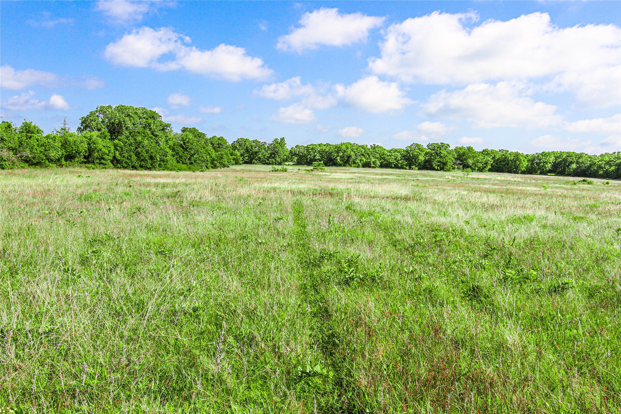 TBD County Road 1792, Sunset, TX, 76270