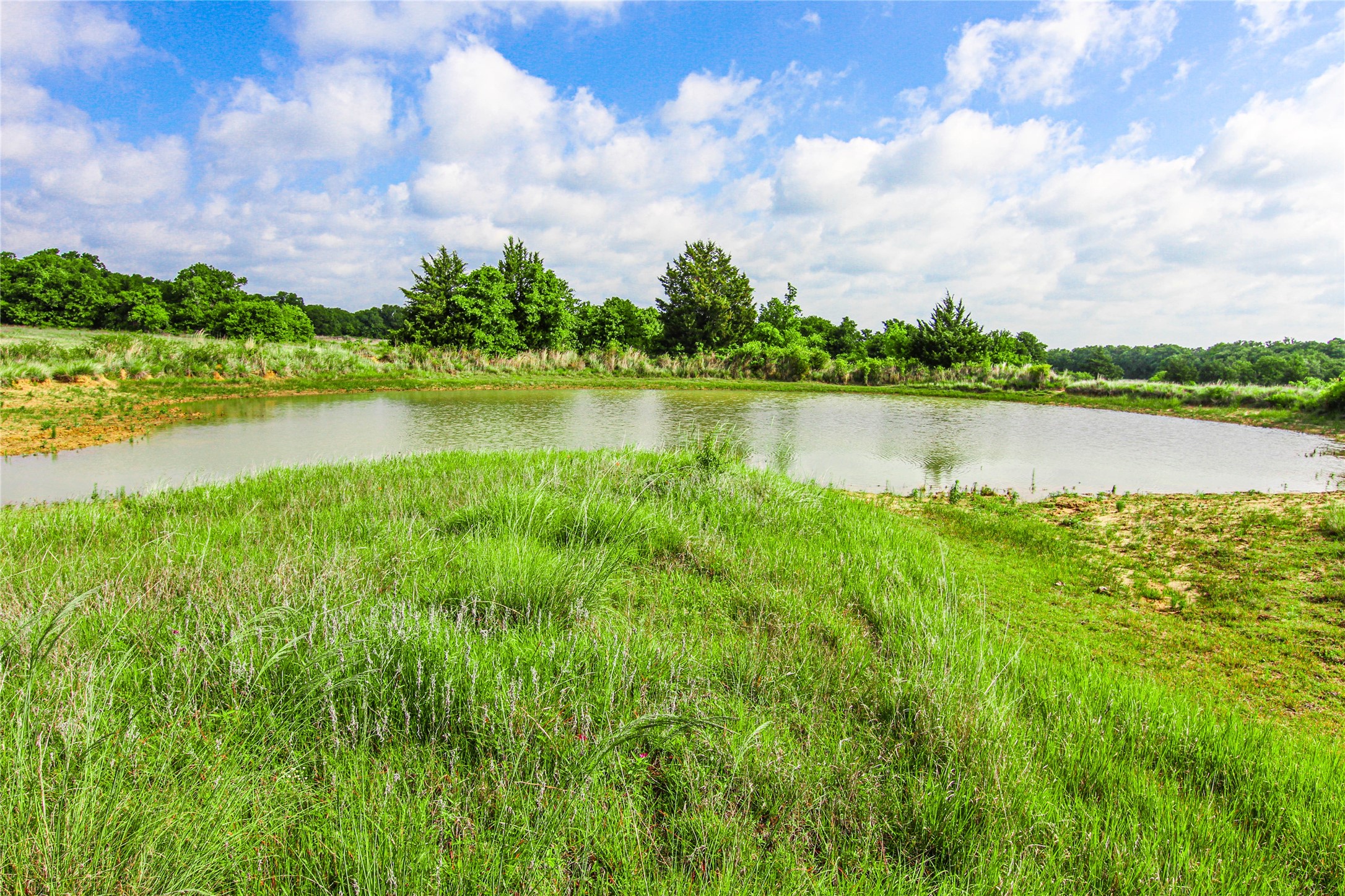 TBD County Road 1792, Sunset, TX, 76270