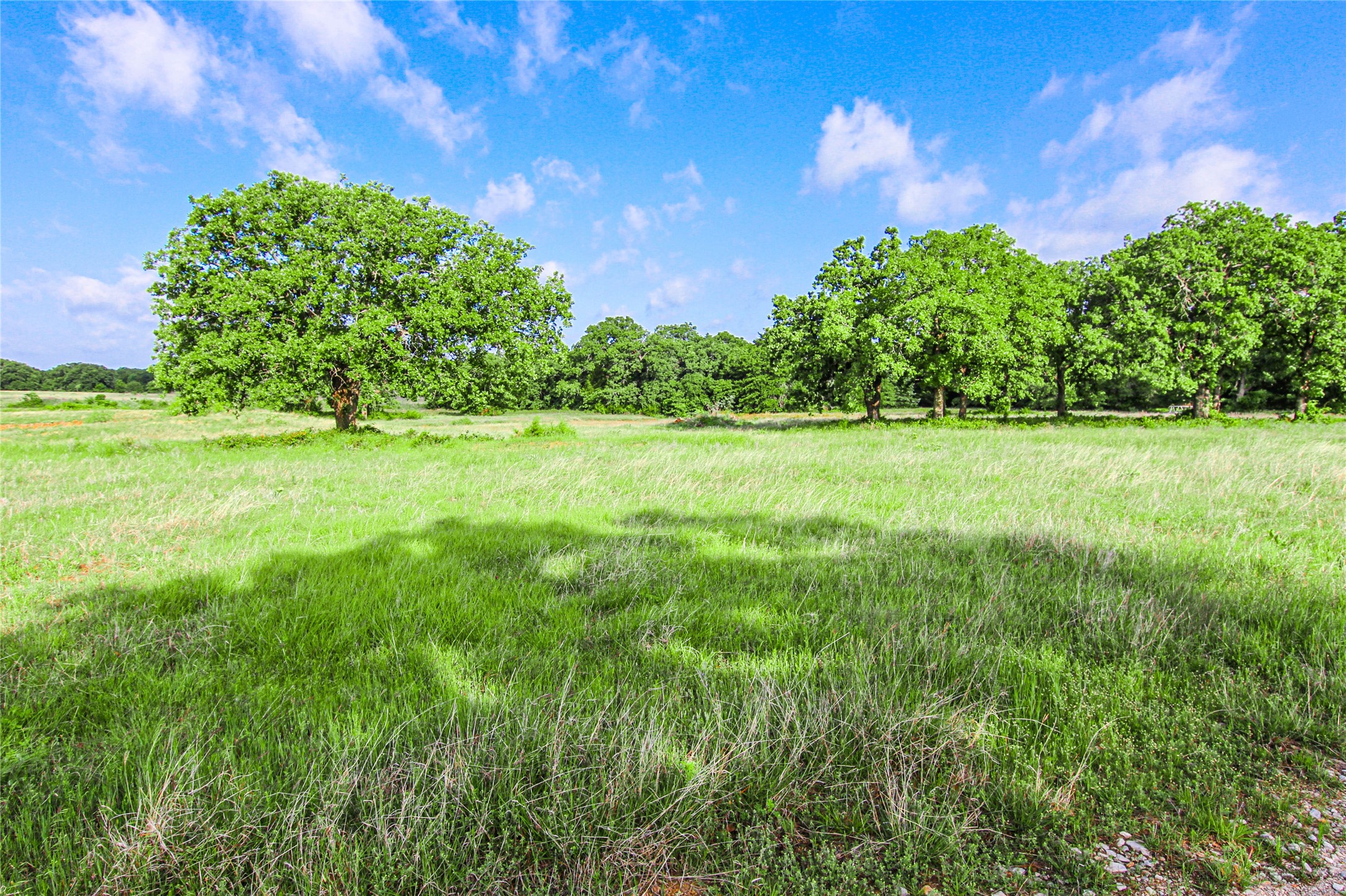 TBD County Road 1792, Sunset, TX, 76270