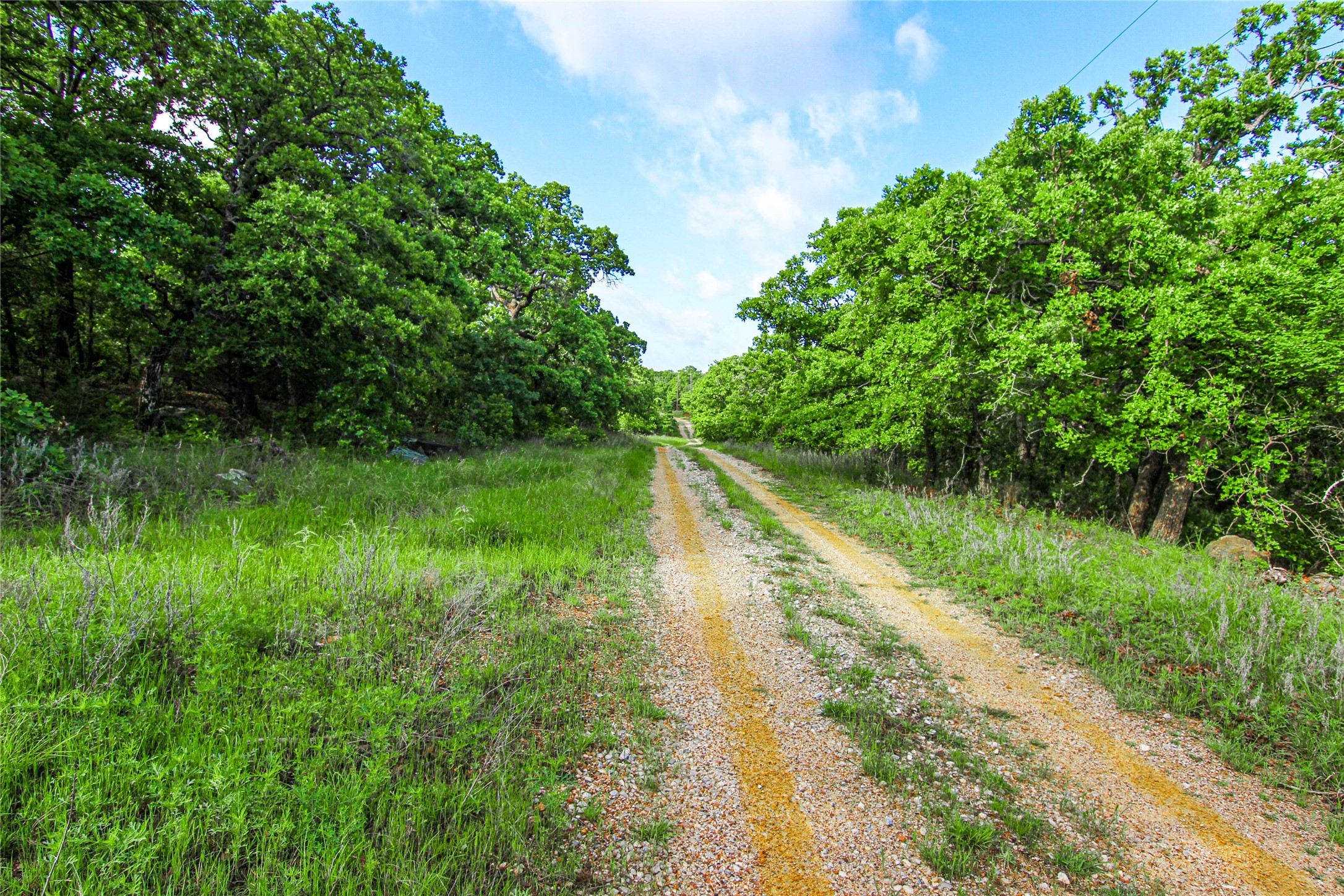 TBD County Road 1792, Sunset, TX, 76270