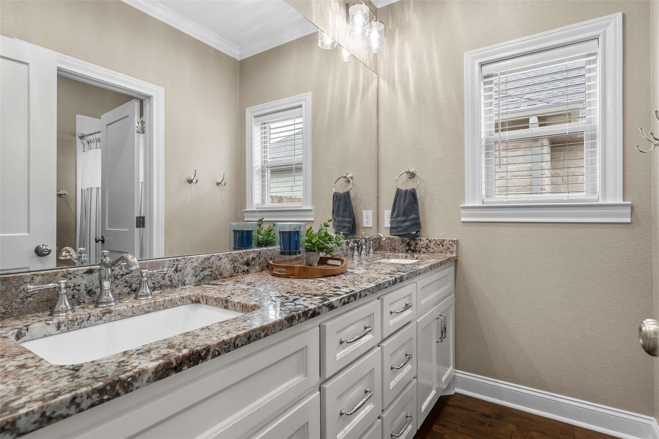 10013 Braided Briar Lane, Waco, TX, 76712