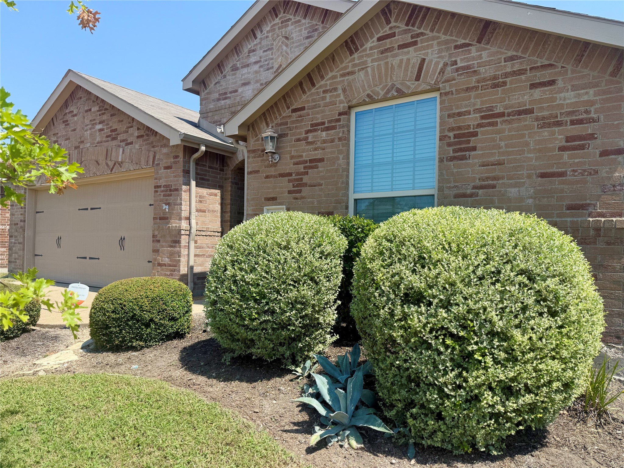 1131 Grimes Drive, Forney, TX, 75126