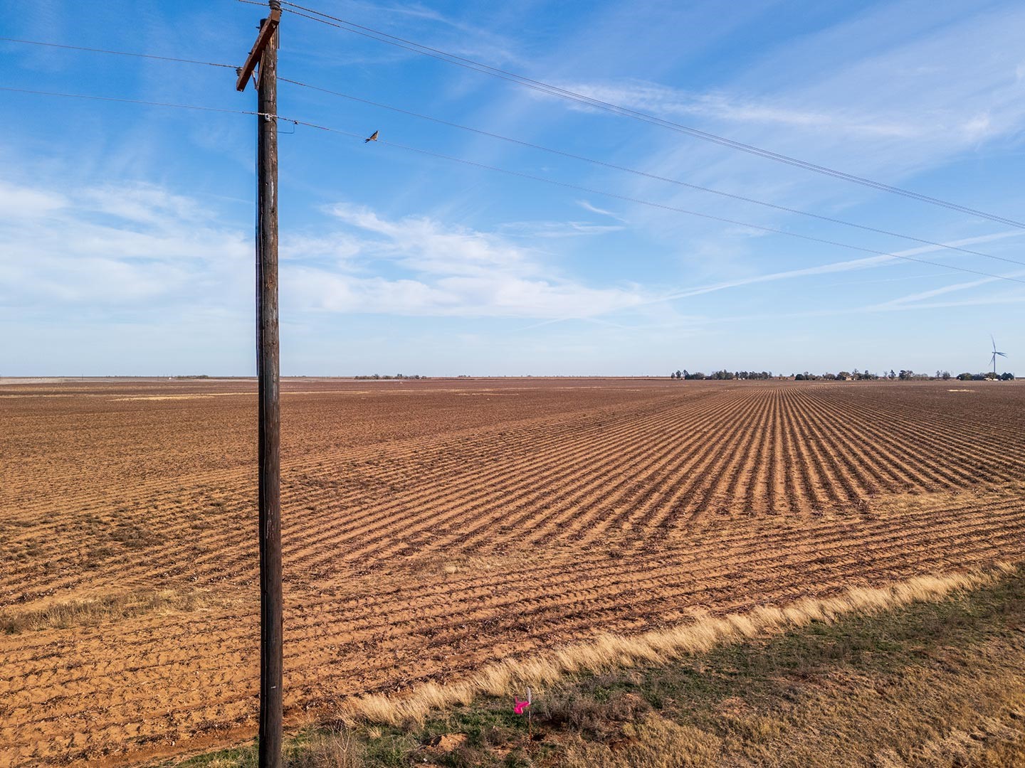 0 FM 212, Tahoka, TX, 79372