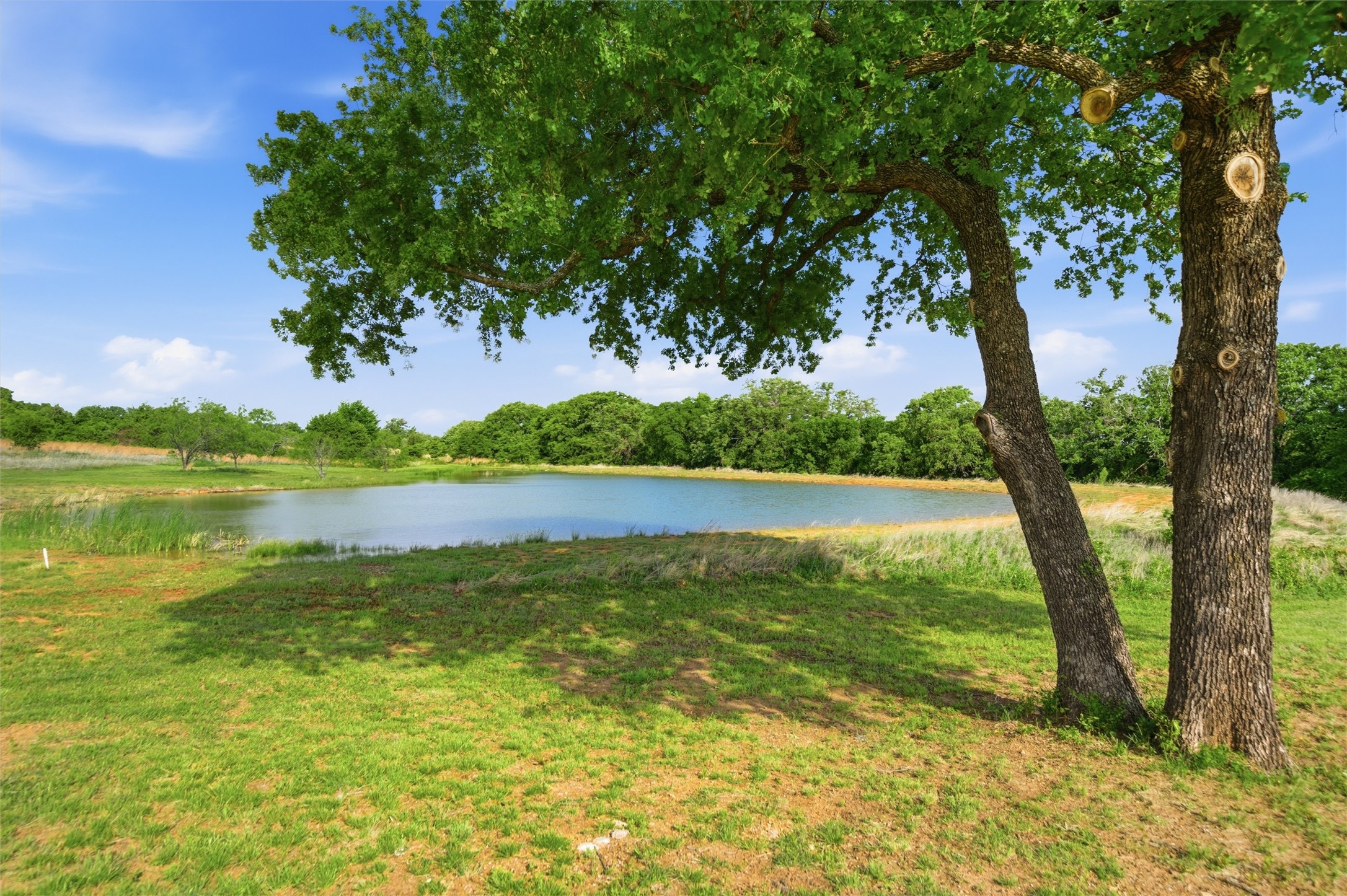 1899 Old Agnes Road, Weatherford, TX, 76088