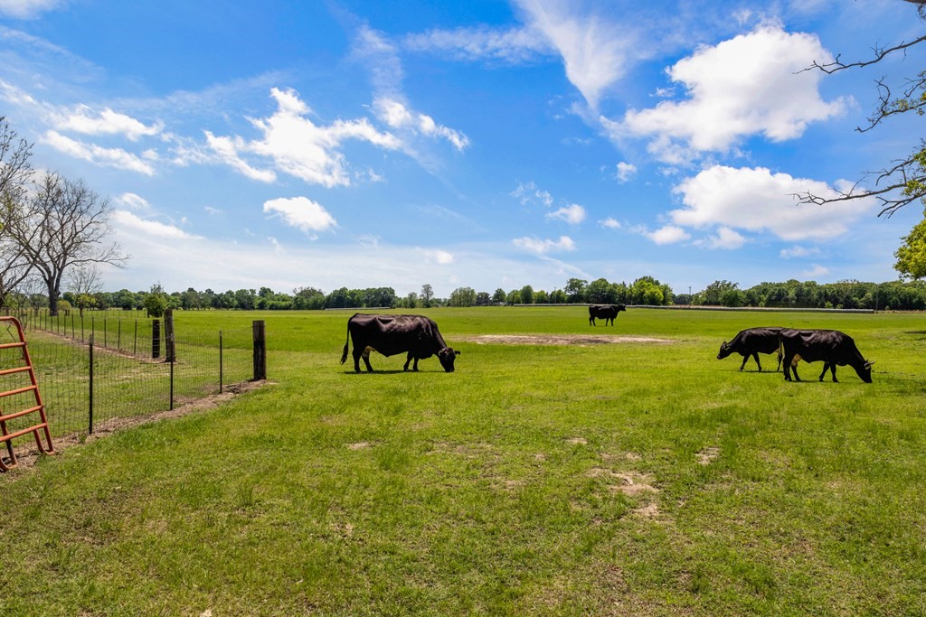 00 Vz County Road 3208, Wills Point, TX, 75169