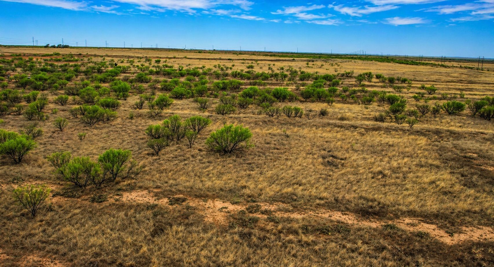 0000 County Road 437, Paducah, TX, 79248