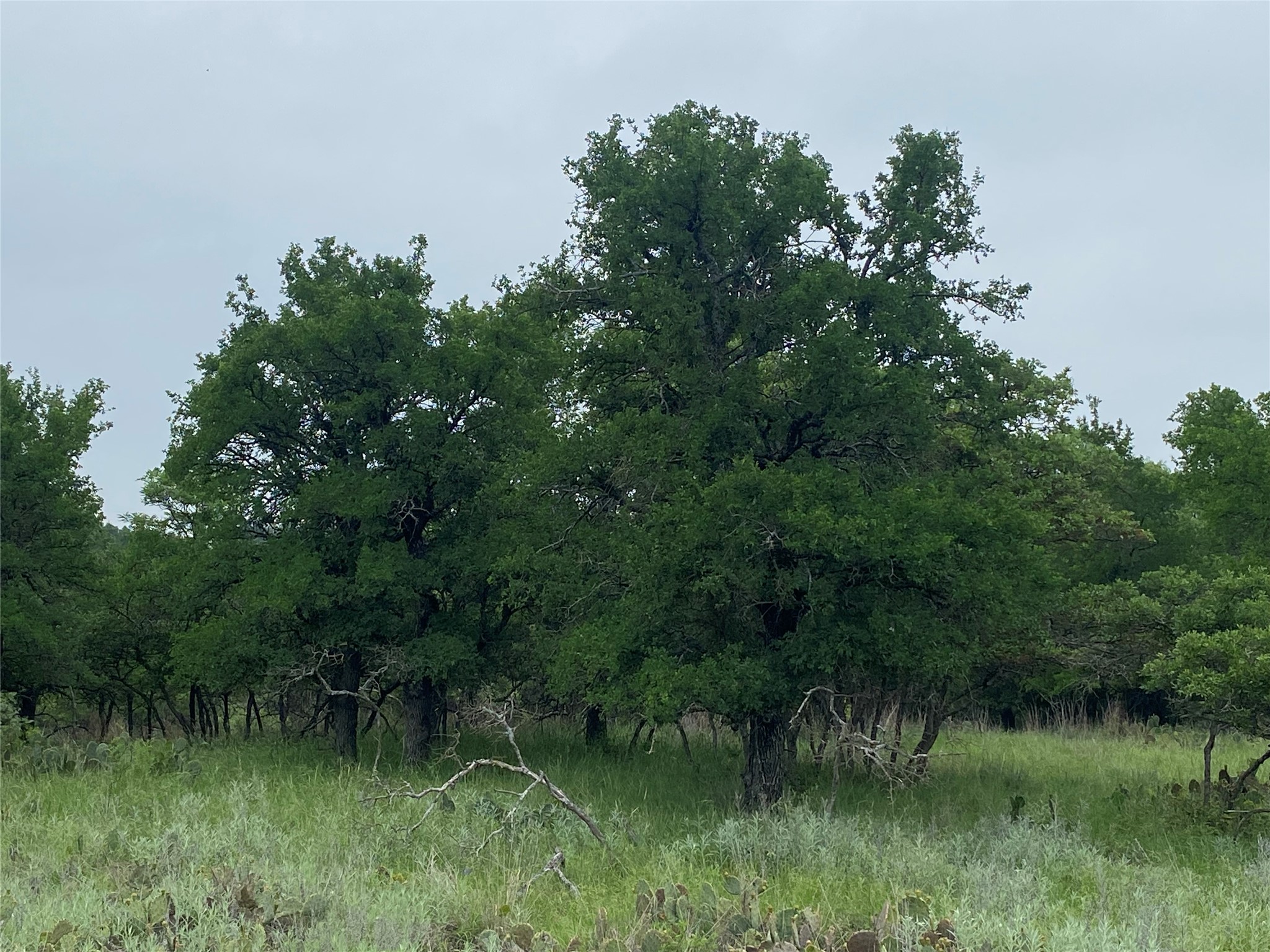 3040 Cutter Circle, May, TX, 76857