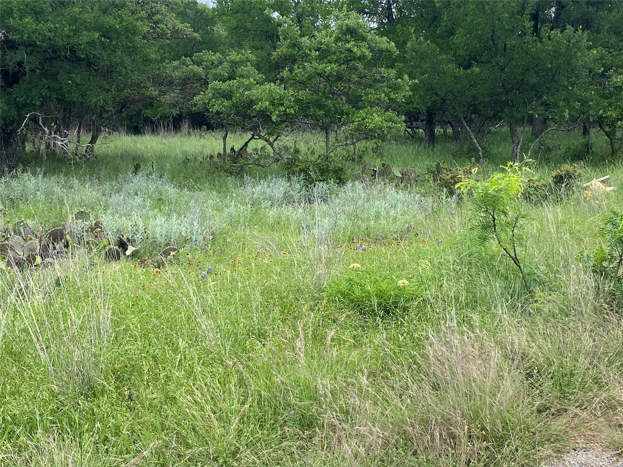3040 Cutter Circle, May, TX, 76857