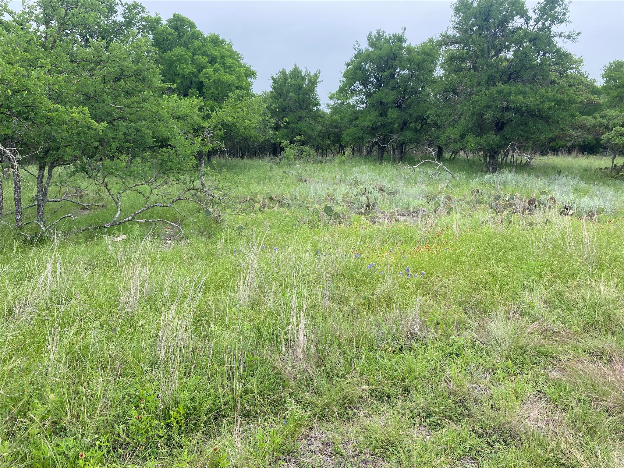 3040 Cutter Circle, May, TX, 76857
