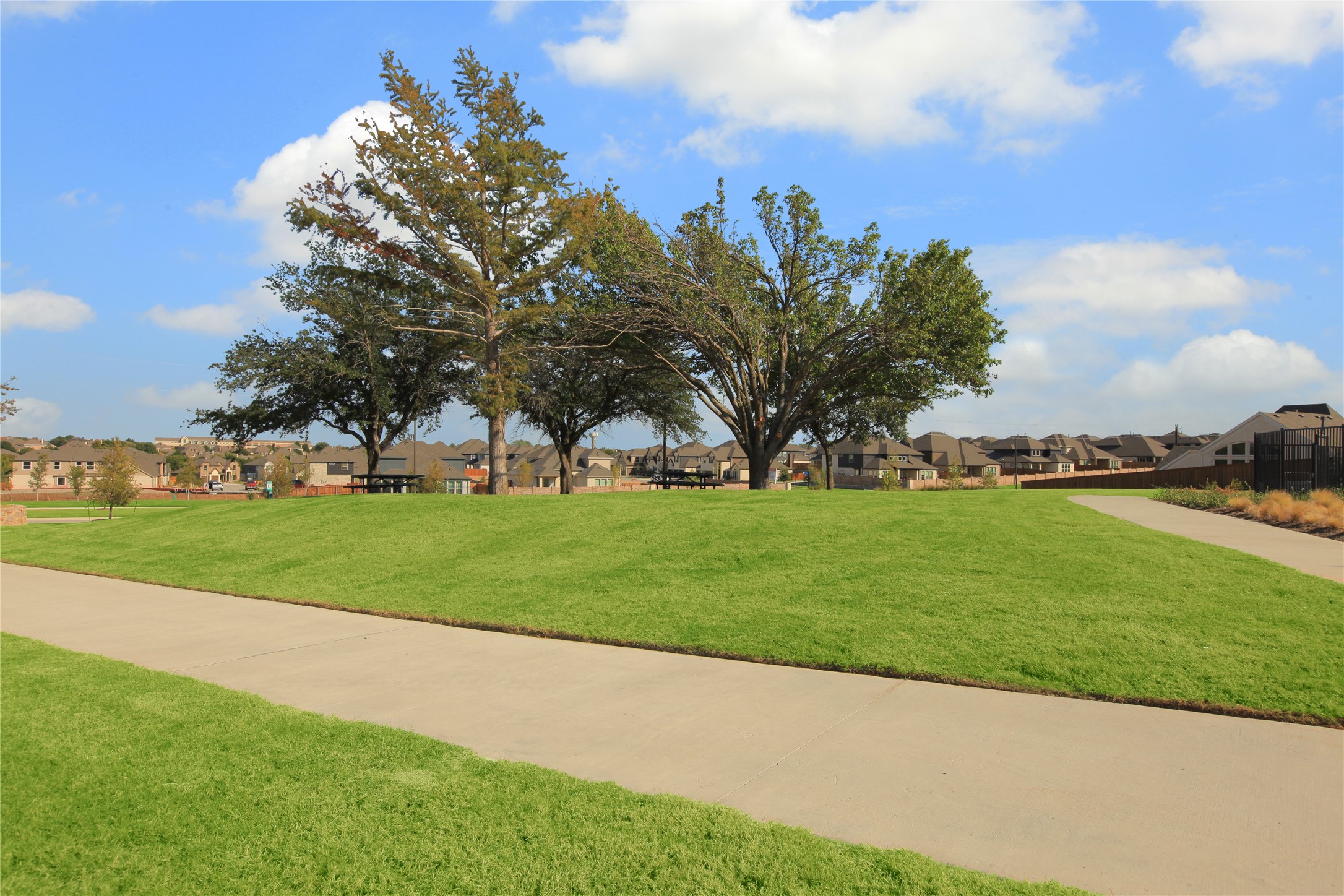 1132 Vletti Drive, Fate, TX, 75087