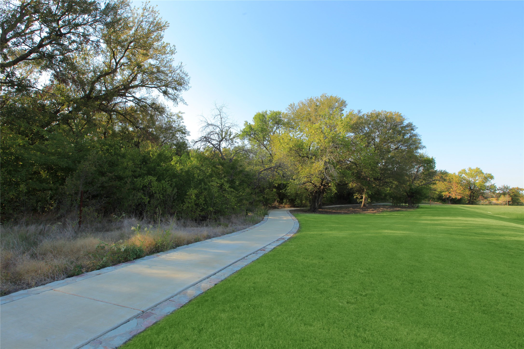 1132 Vletti Drive, Fate, TX, 75087