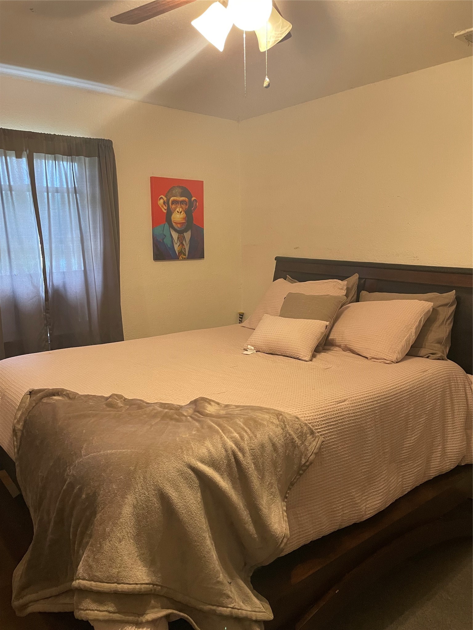 308 Woodhaven Boulevard, Duncanville, TX, 75116