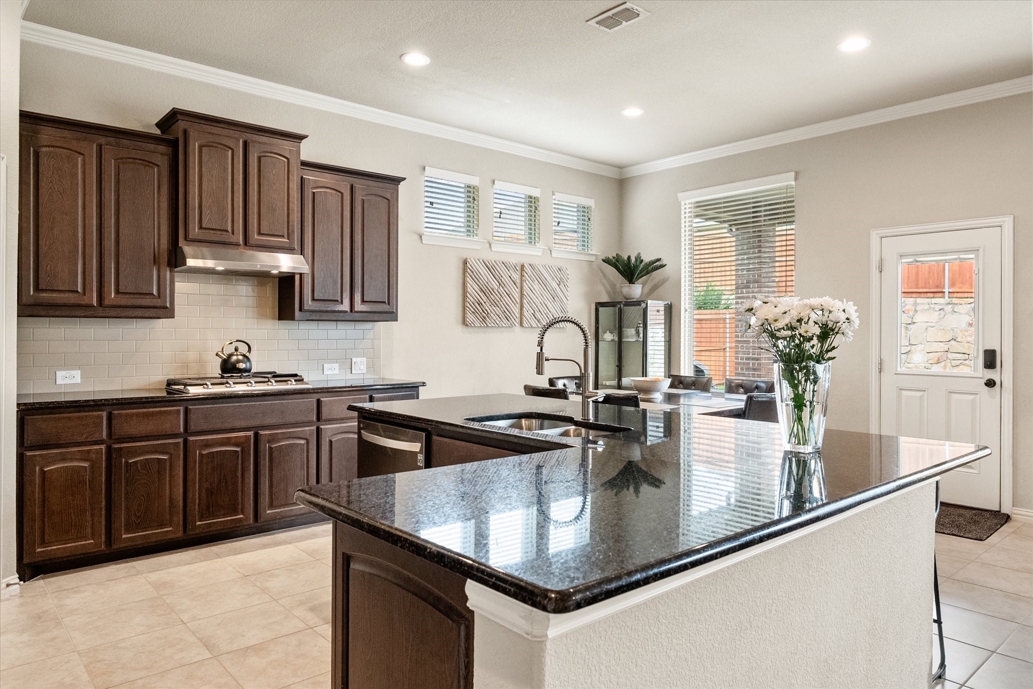 15036 Amber Sky Drive, Aledo, TX, 76008