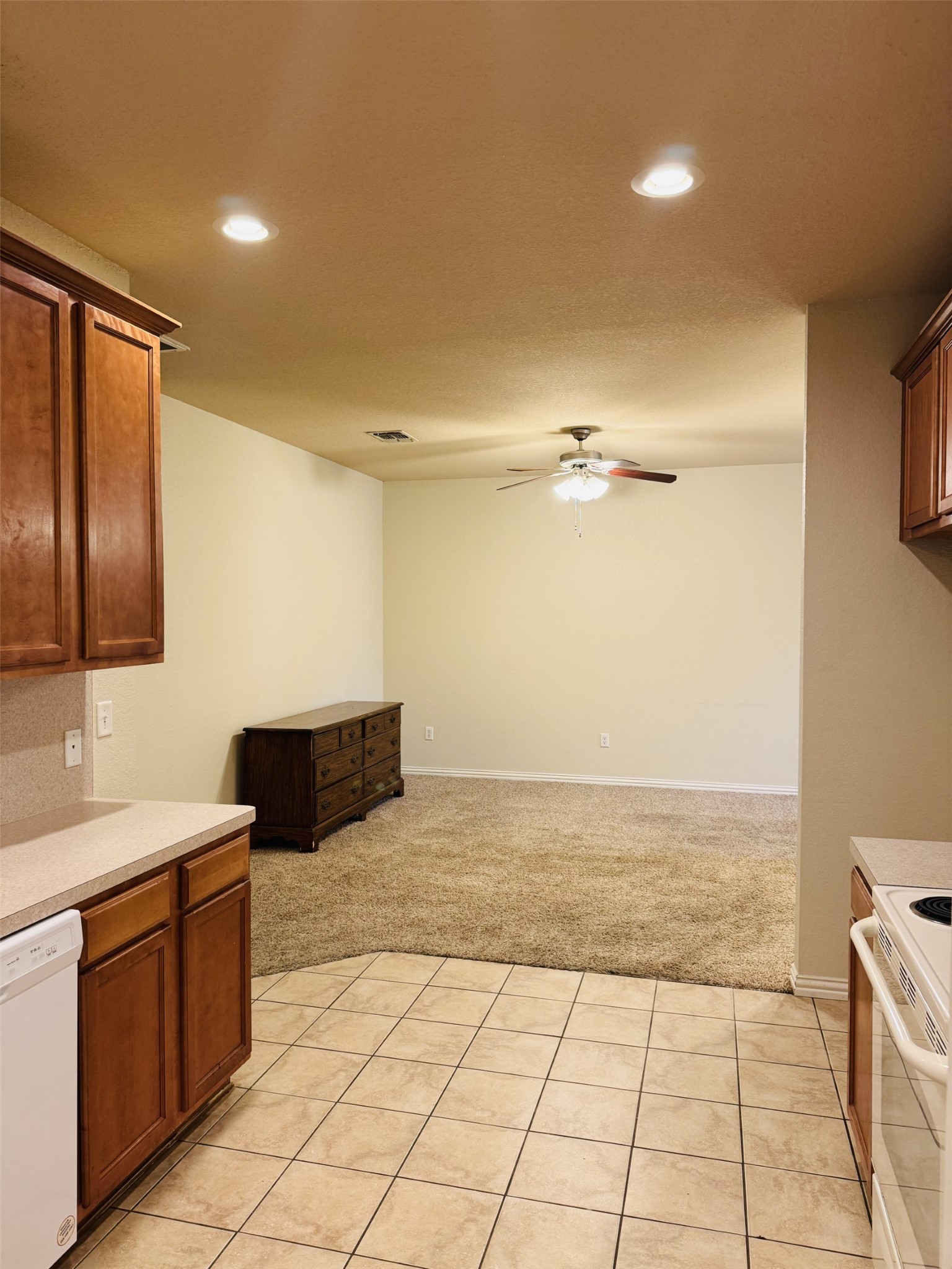 1627 Summer Hill Court, Granbury, TX, 76049