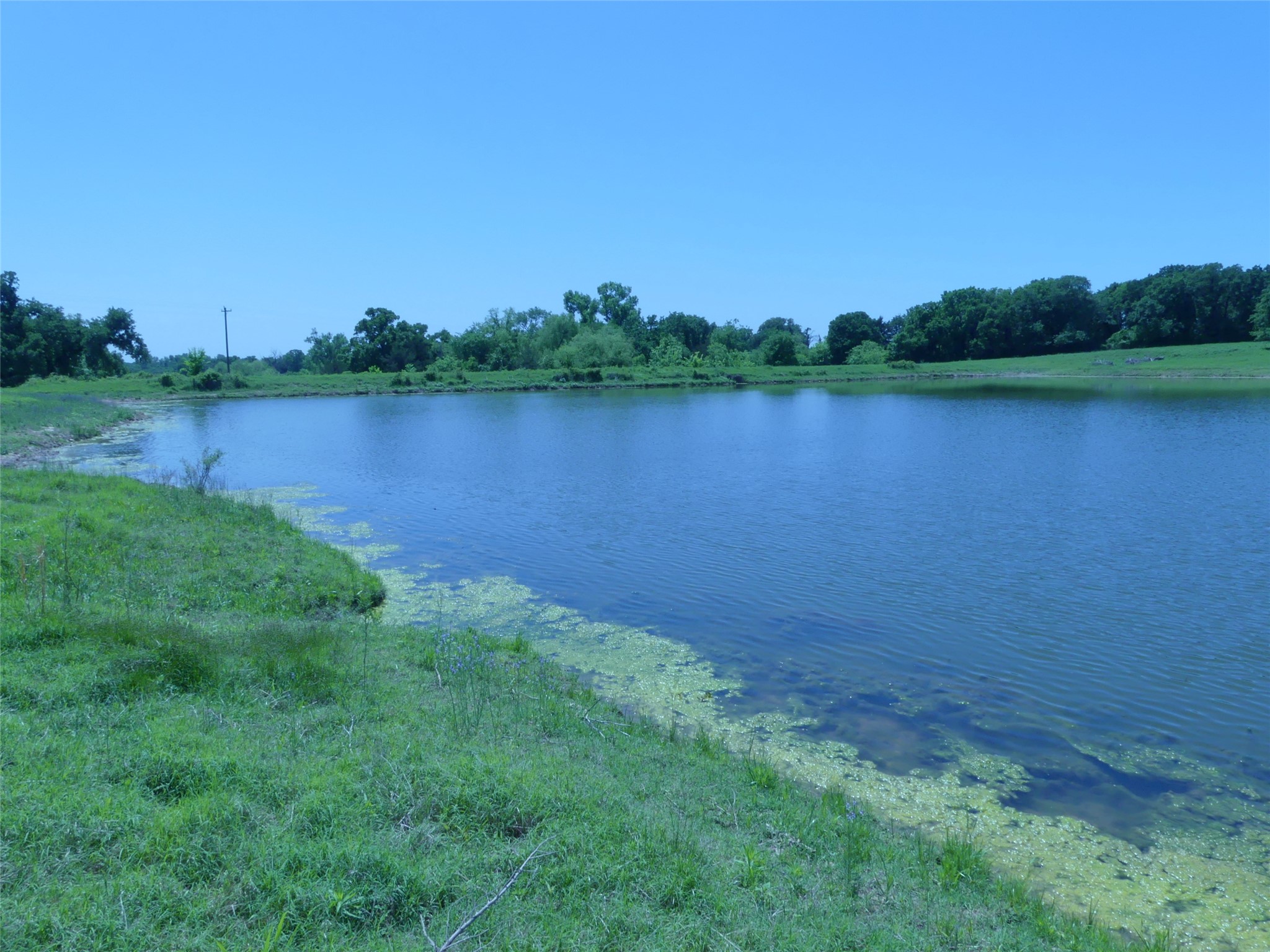 3421 School House Road, Forestburg, TX, 76239