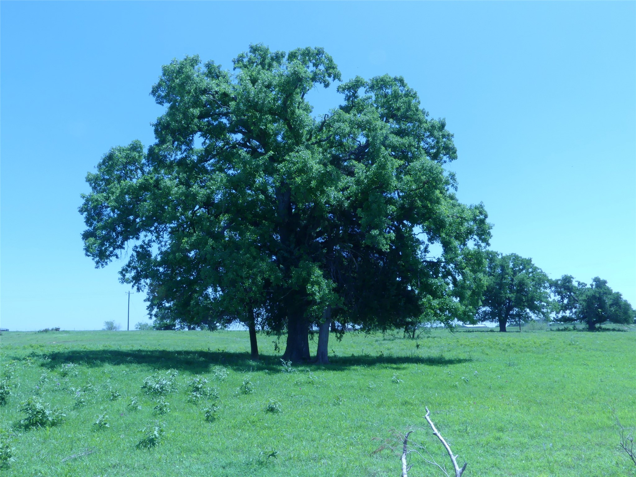 3421 School House Road, Forestburg, TX, 76239