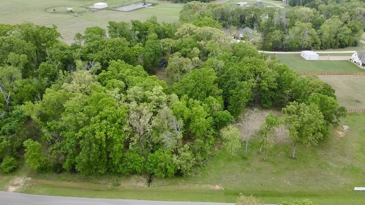 21027 Gatlinburg Road, Bullard, TX, 75757
