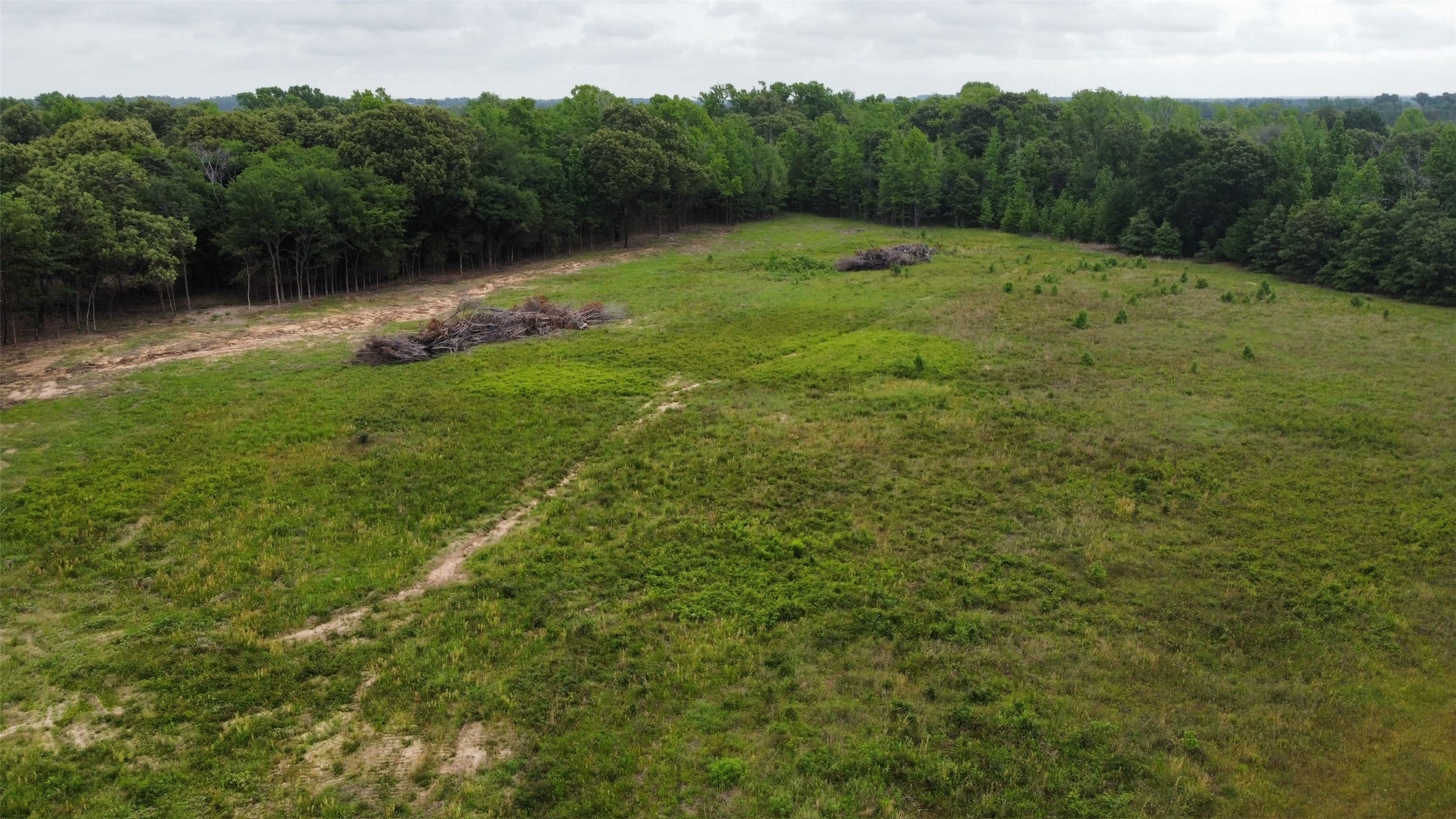 23551 State Highway 19, Canton, TX, 75103