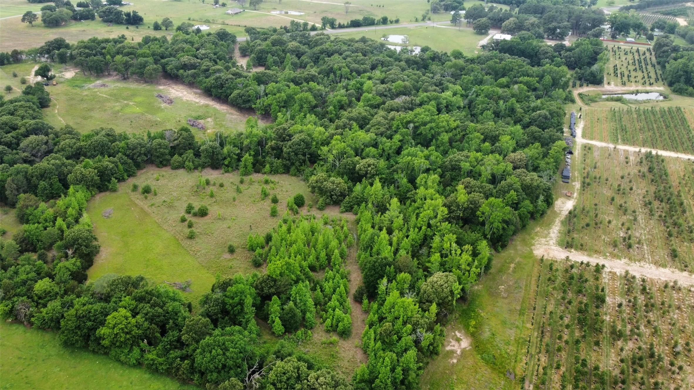 23551 State Highway 19, Canton, TX, 75103