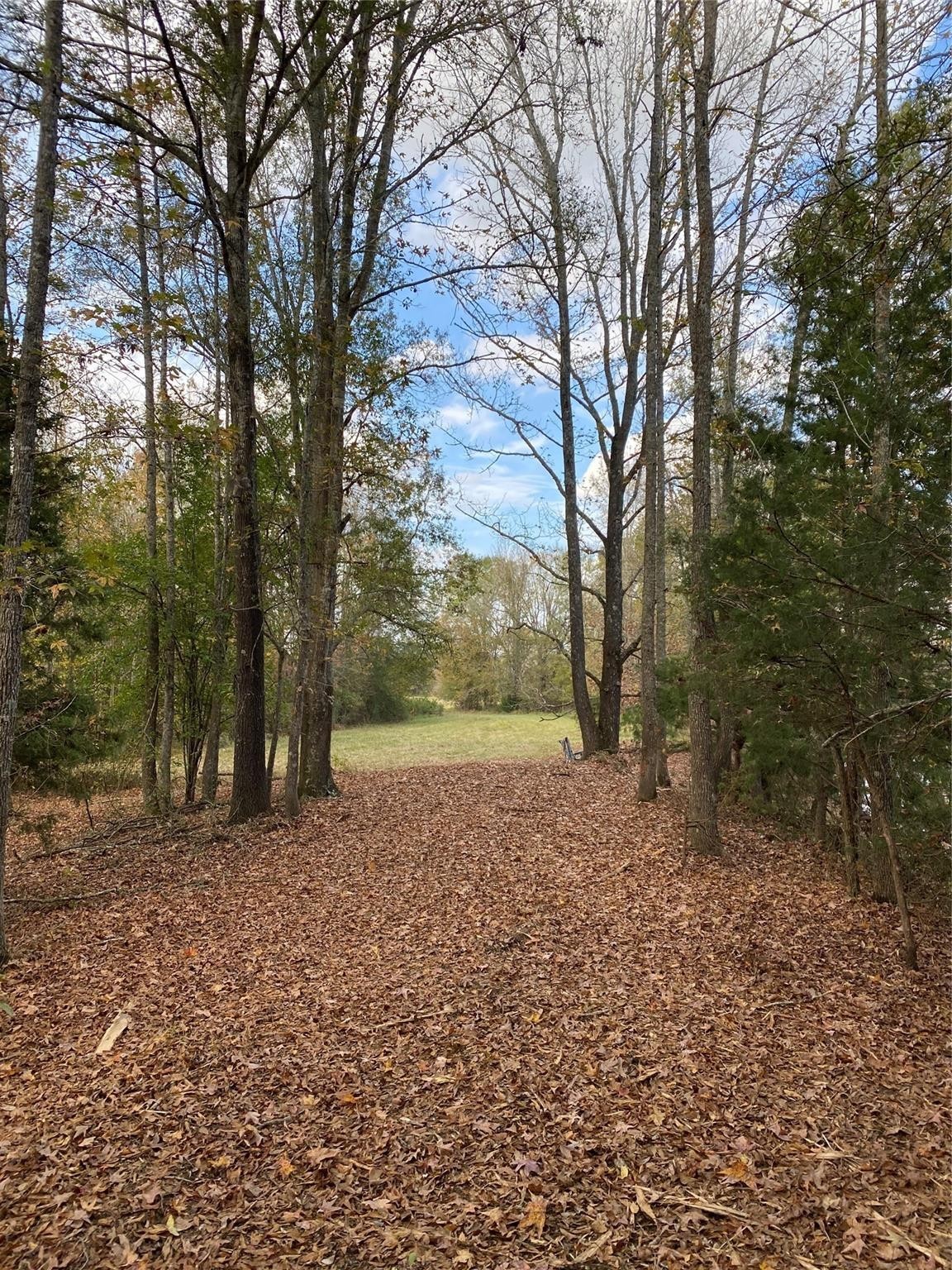 TBD PR 8903, Athens, TX, 75752